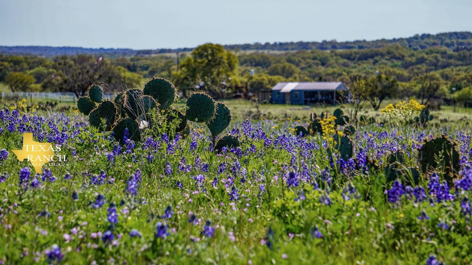 202 acres in Mason, TX, 76856