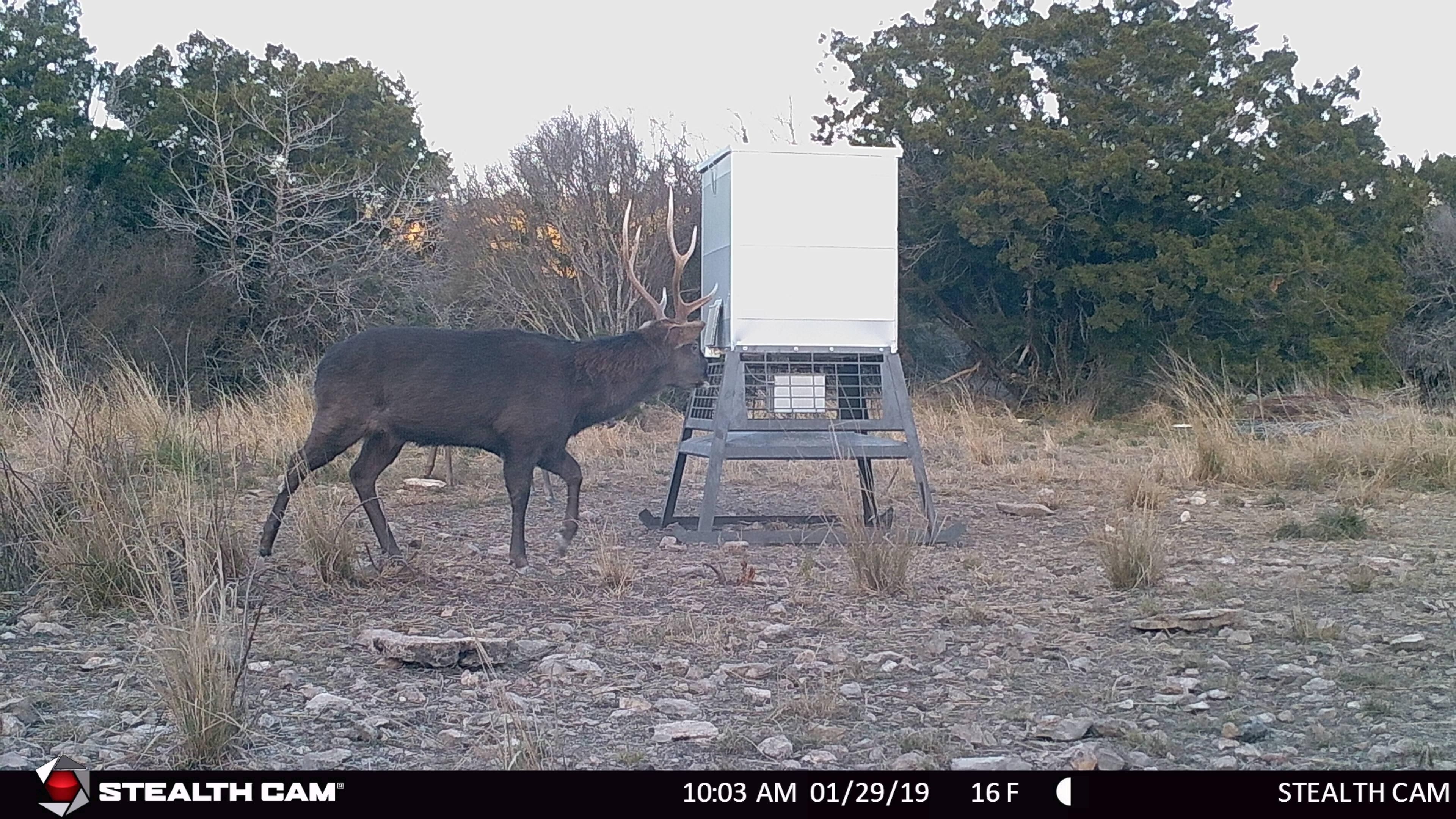 65.45 acres in Edwards County, Texas