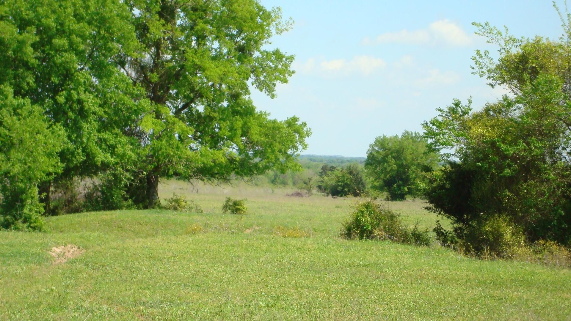 257.79 acres in Falls County, Texas