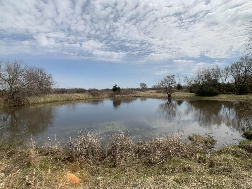 143 acres in Allen County, Kansas