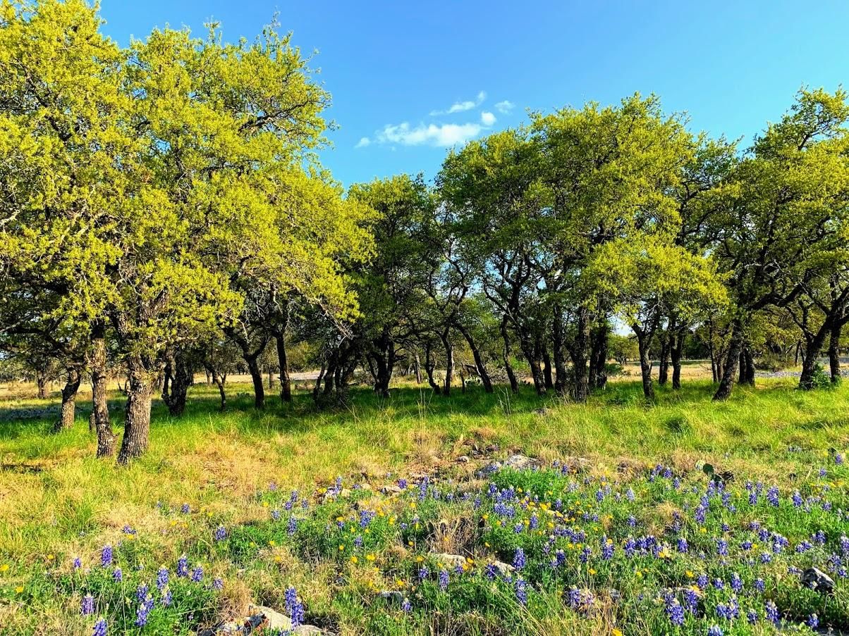 48.01 acres in Menard, TX, 76859