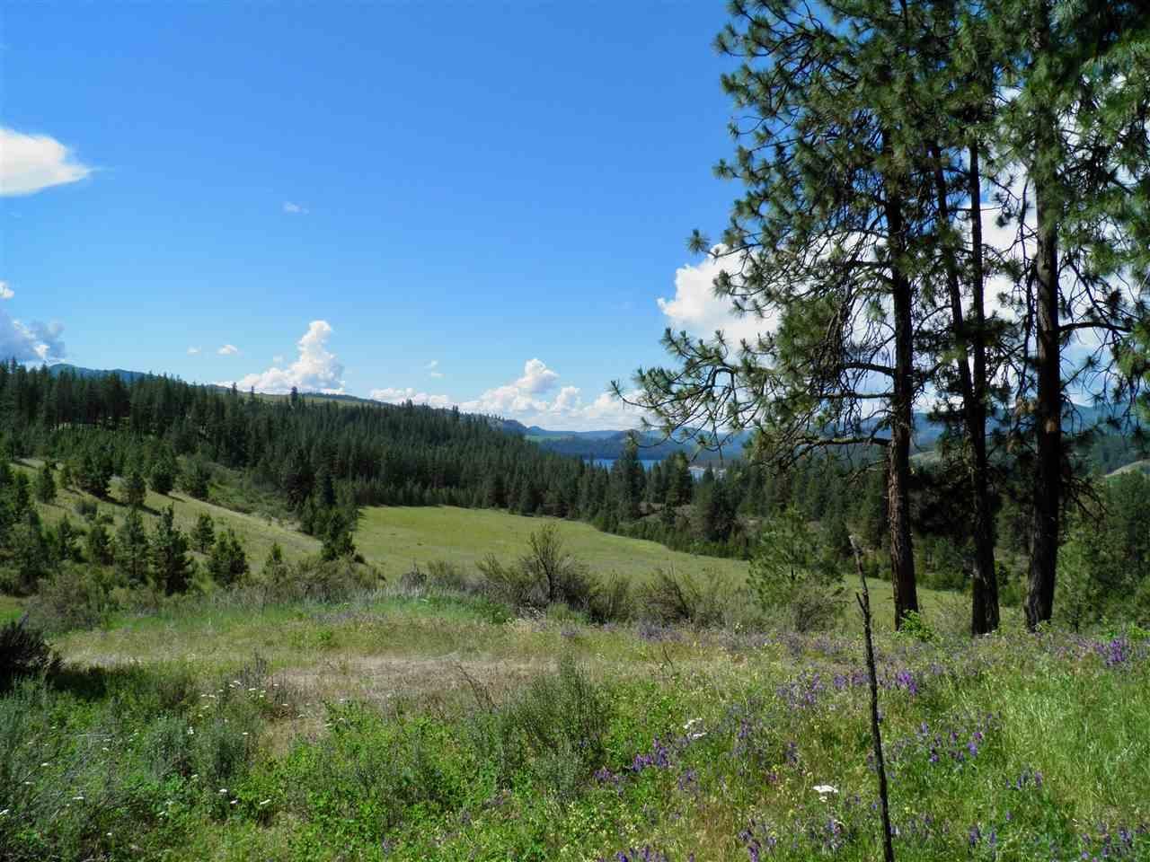 5 acres in Stevens County, Washington
