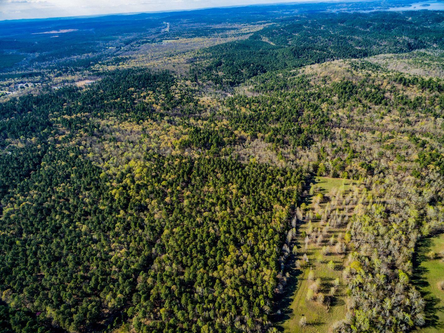 139 acres in McCurtain County, Oklahoma