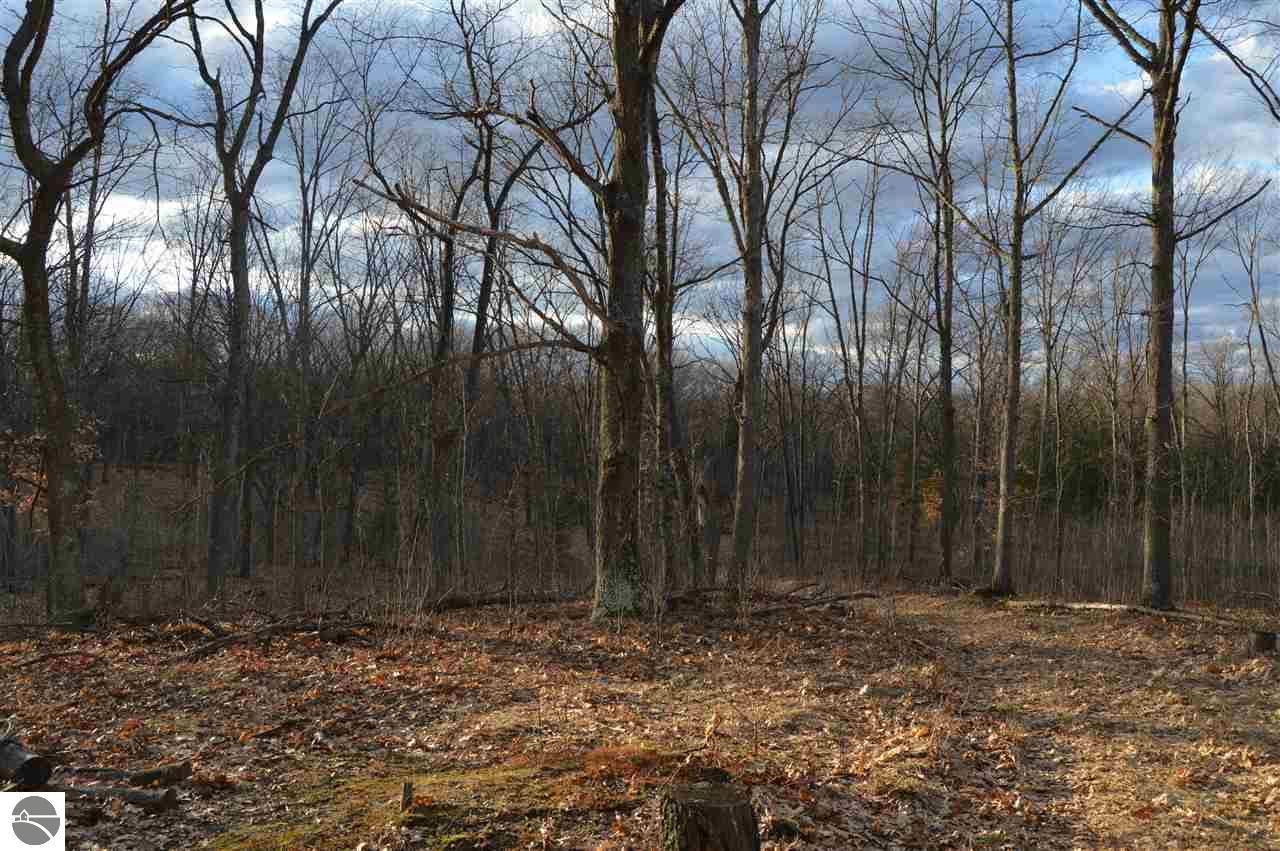 80 acres in Alcona County, Michigan