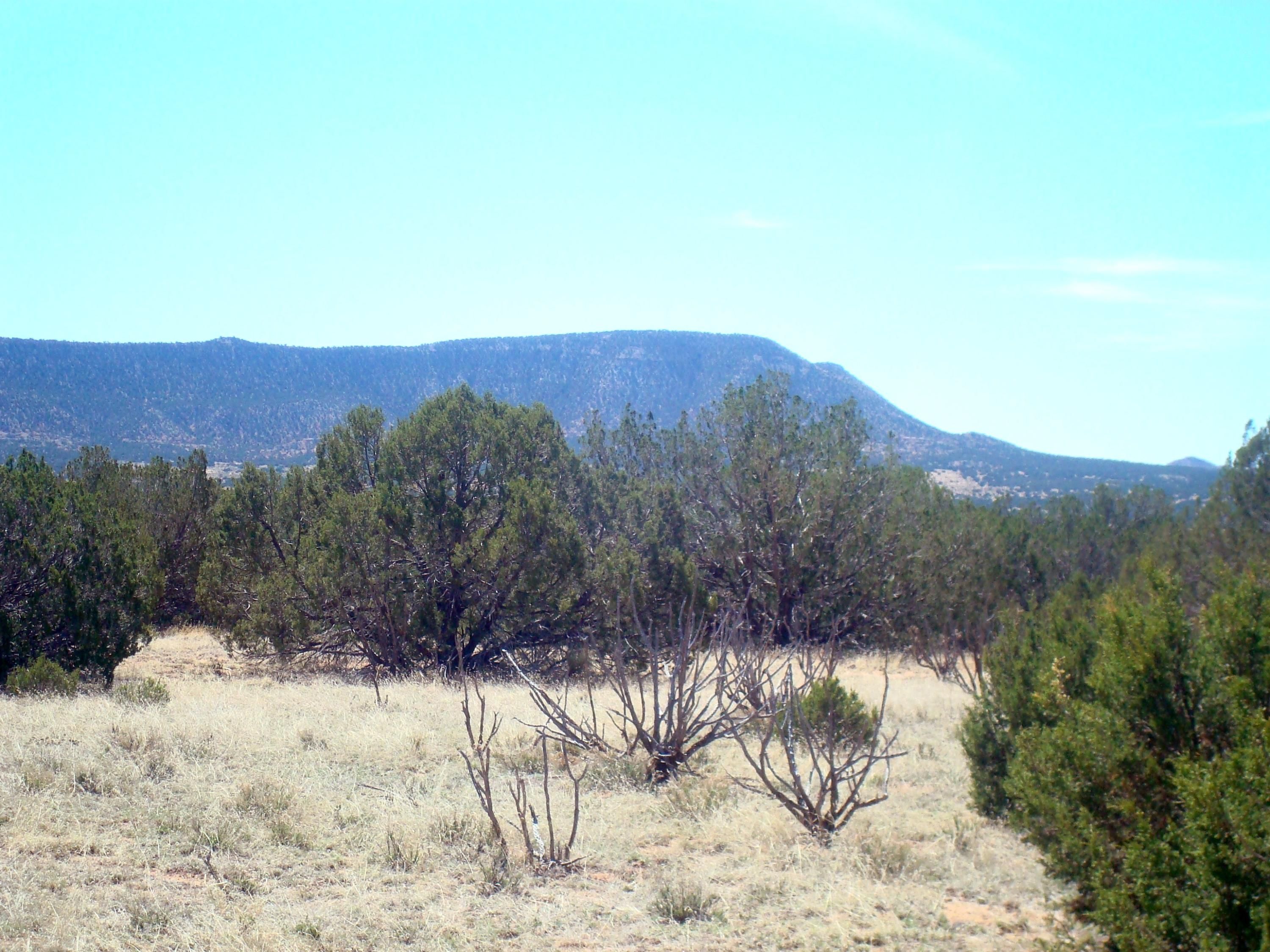 40 acres in Socorro County, New Mexico