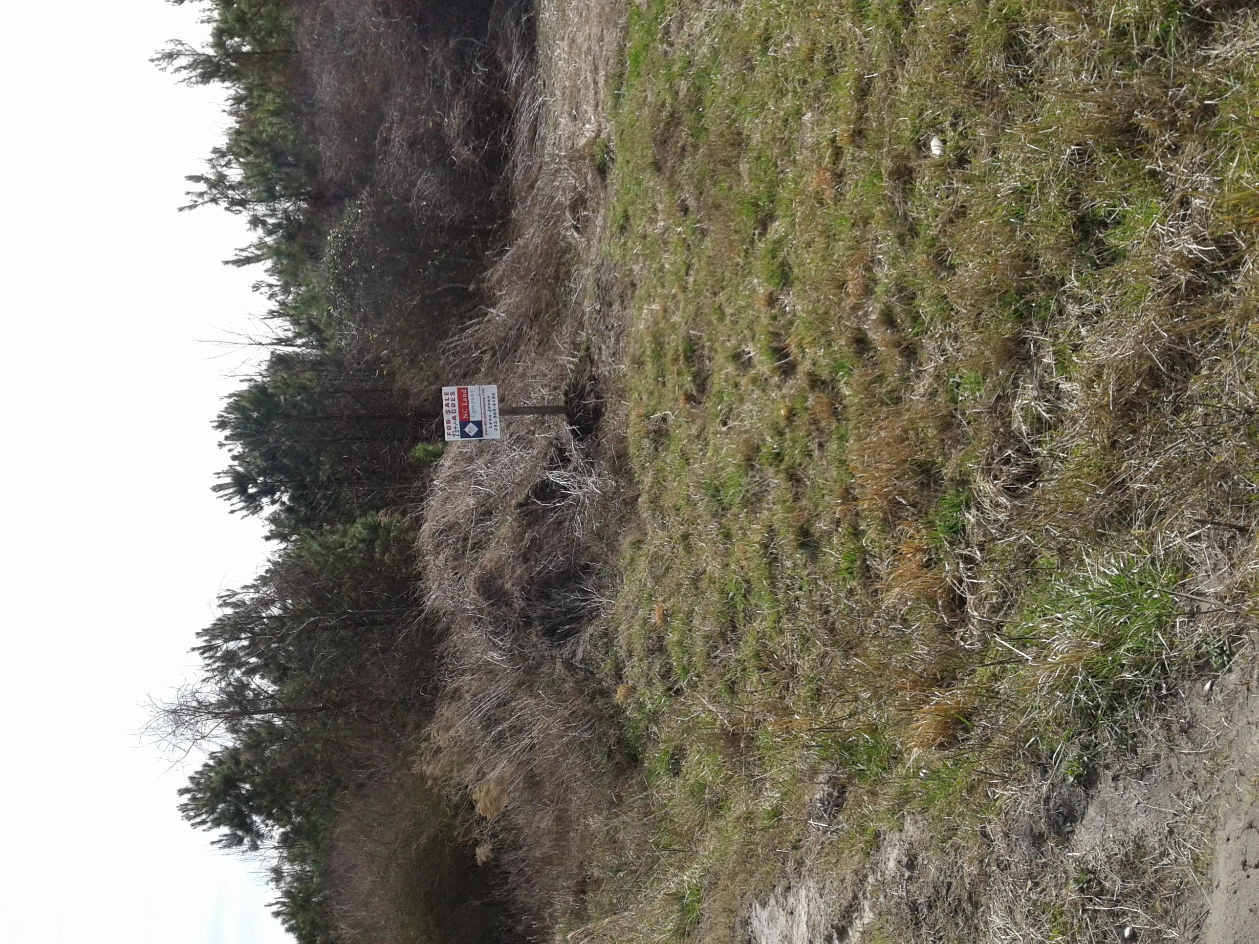 23 acres in Jones County, North Carolina