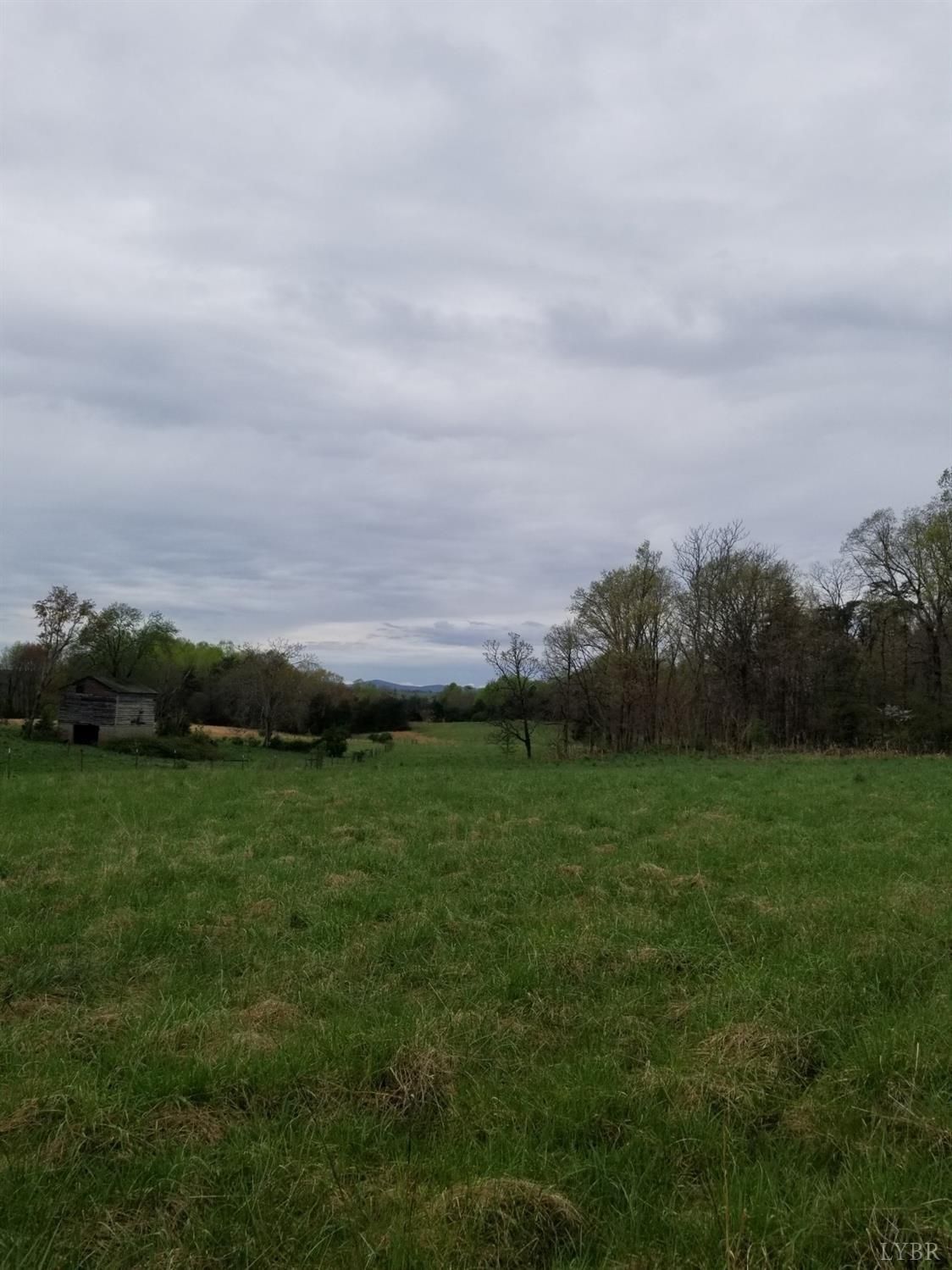 40.94 acres in Appomattox County, Virginia