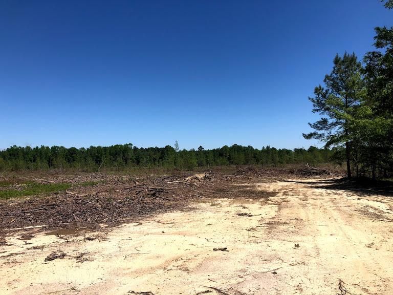 113.6 acres in Johnson County,