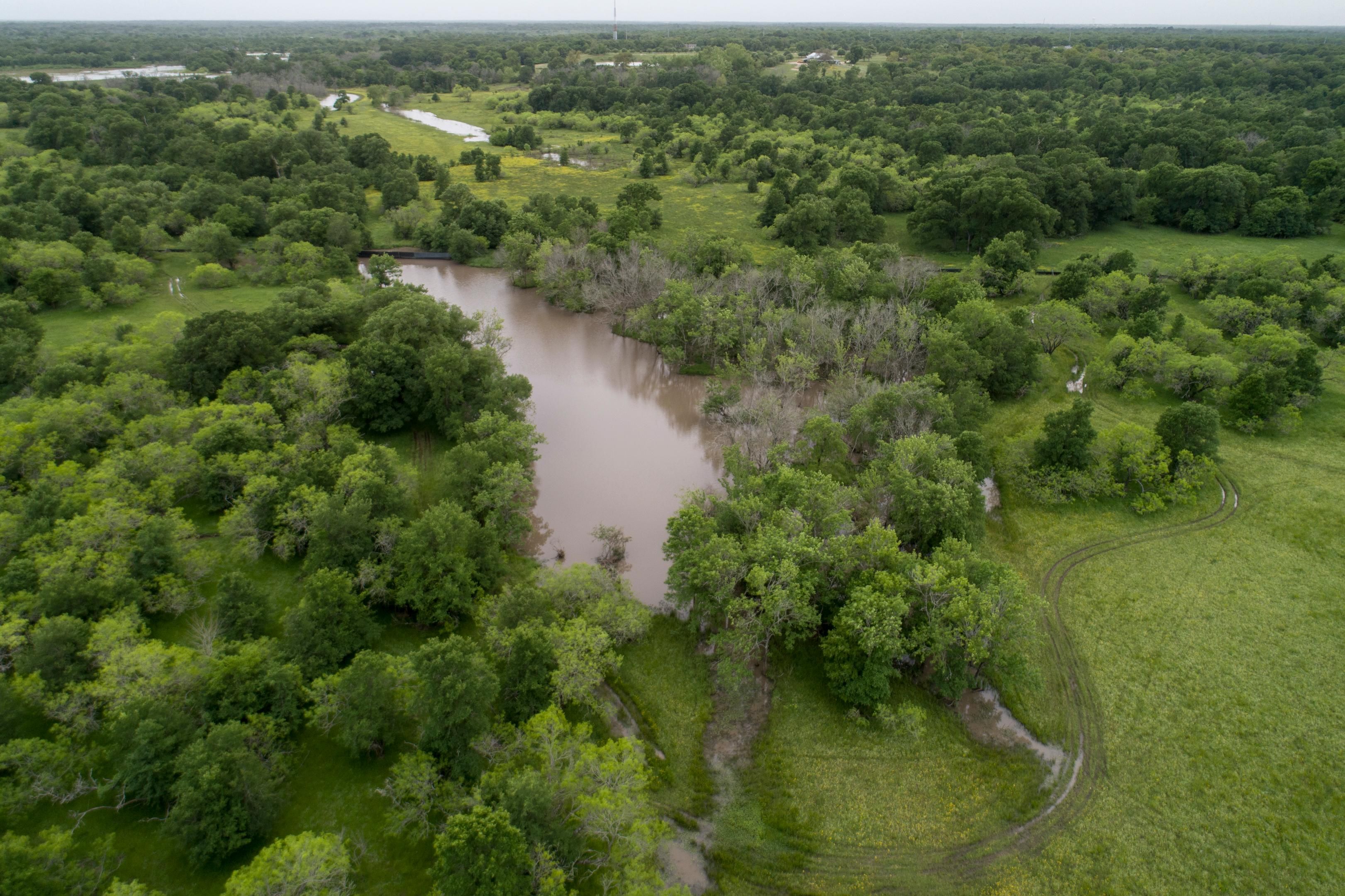 175 acres in Brazos County, Texas