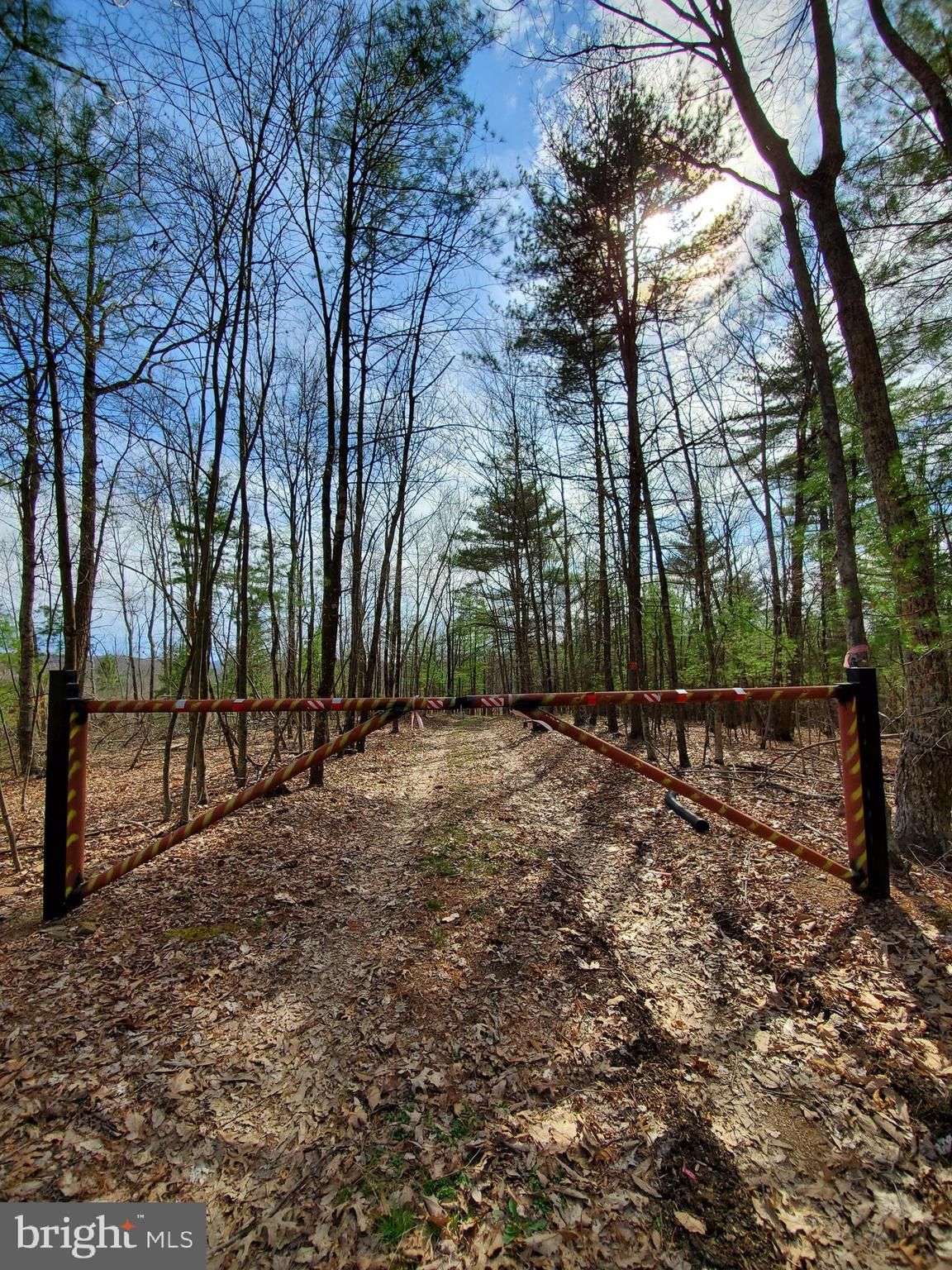 100 acres in Allegany County, Maryland