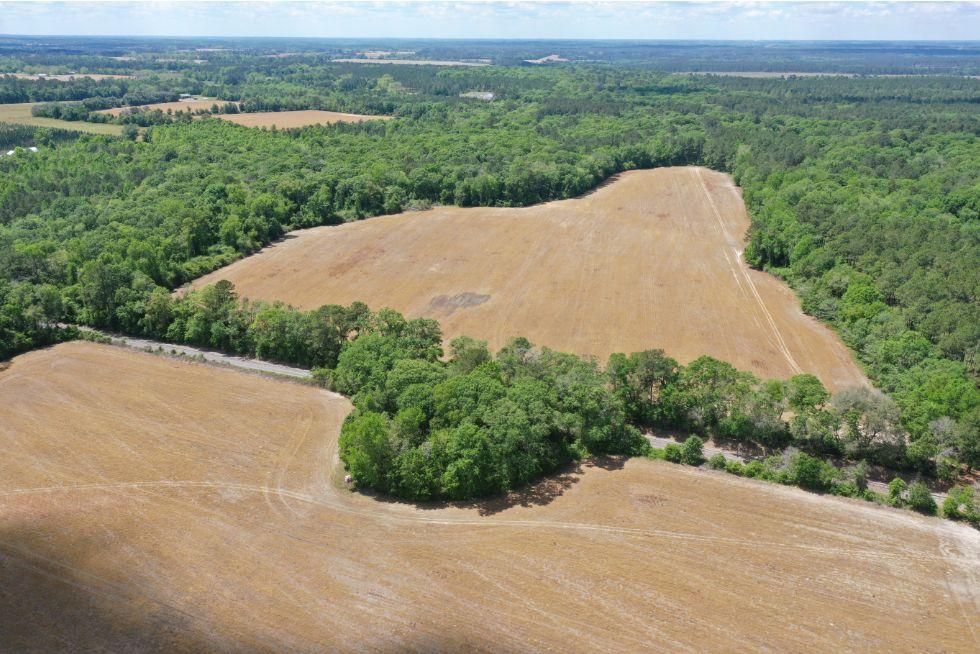 0000 Hwy 319 / Jutola Lane, Coolidge, GA 31738 MLS 914207