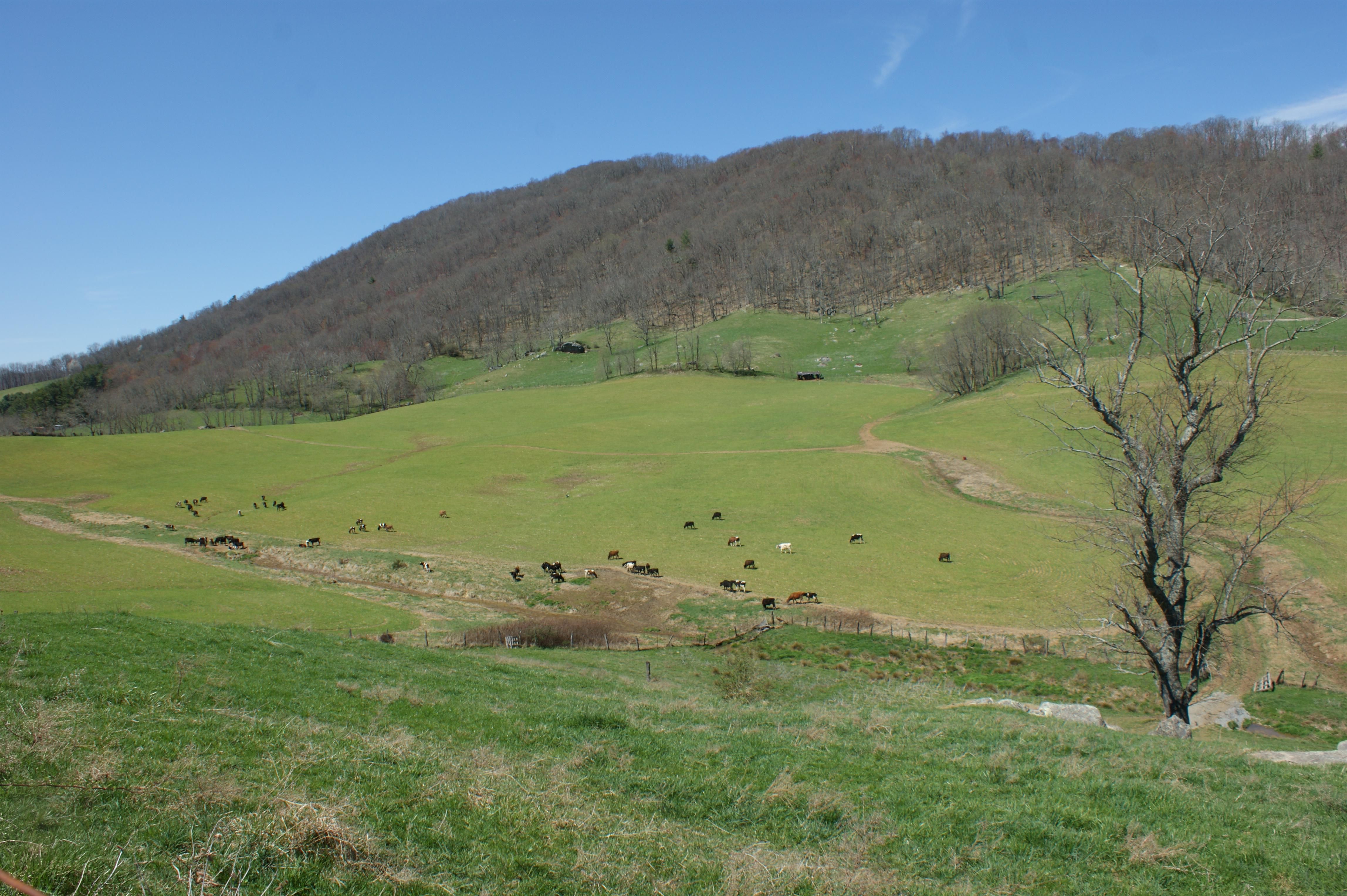 165 acres in Grayson County, Virginia