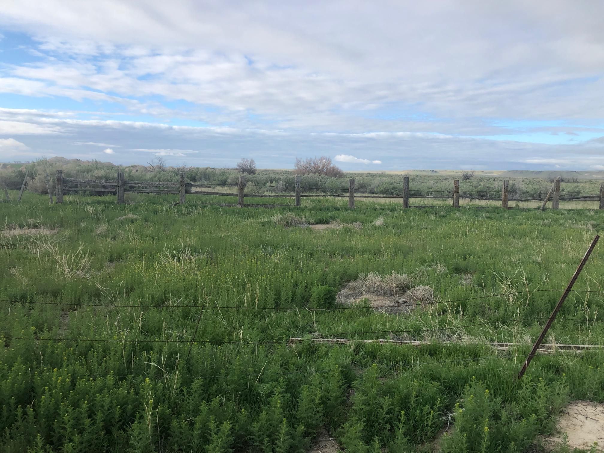 40 acres in Millard County, Utah