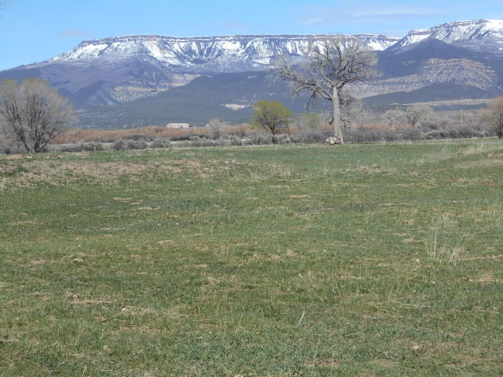 35 acres in Mesa County, Colorado