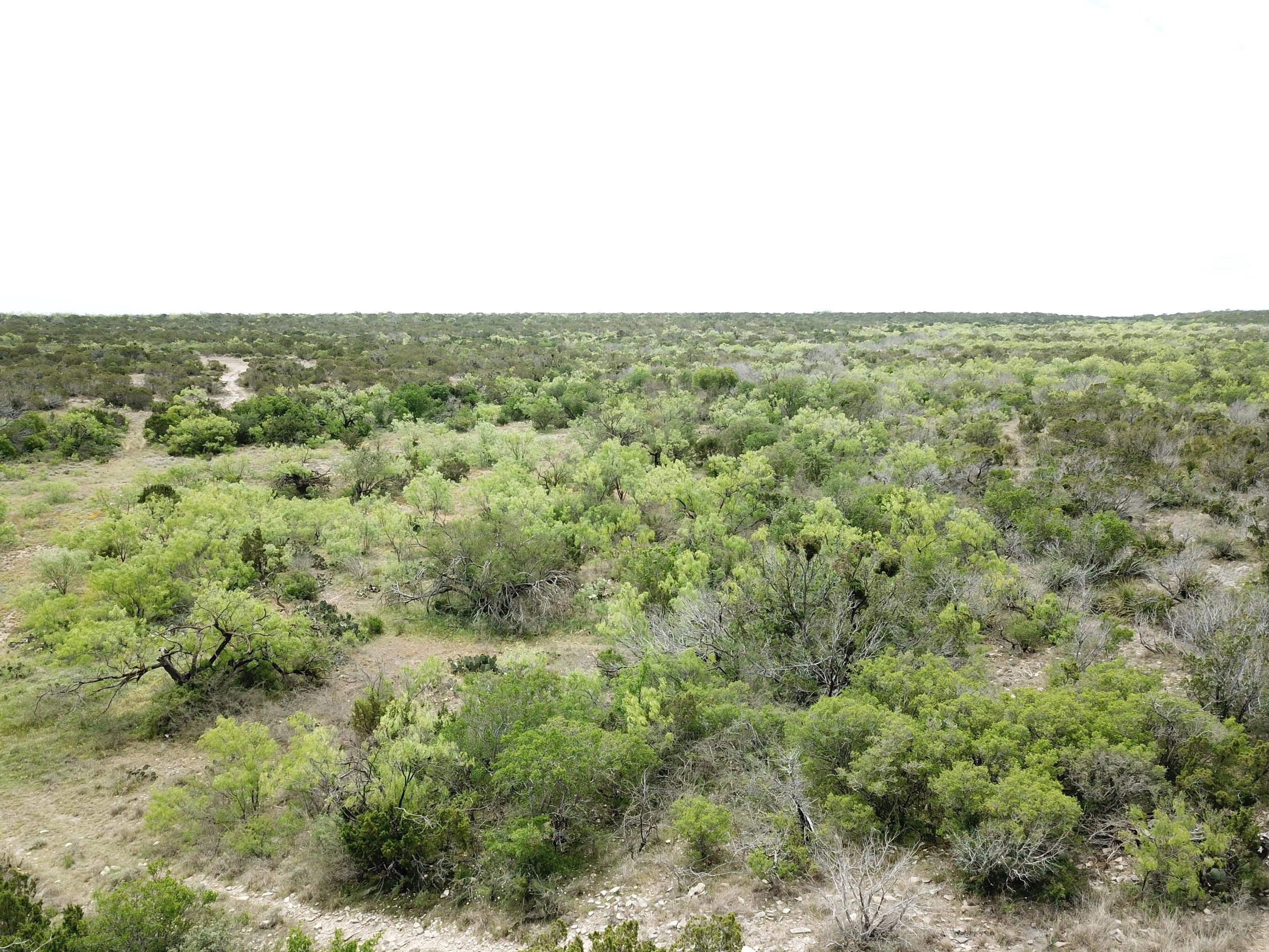 723 acres in Val Verde County, Texas