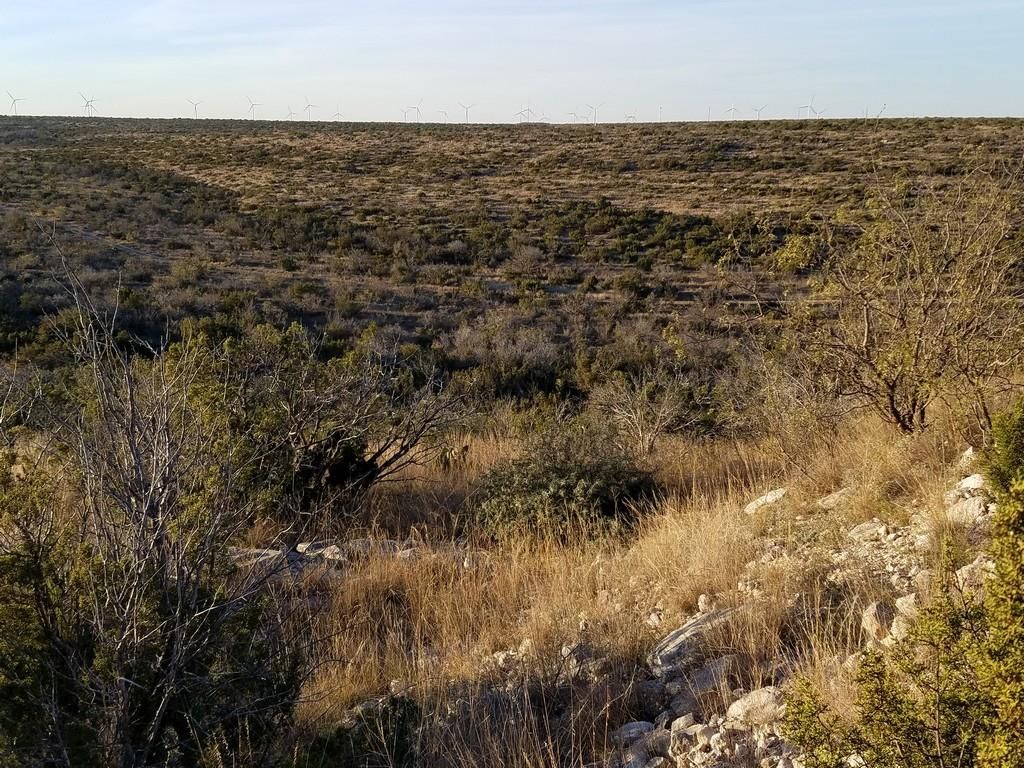 1,026 acres in Pecos County, Texas