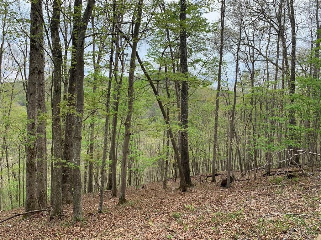 53 acres in Clay County, West Virginia