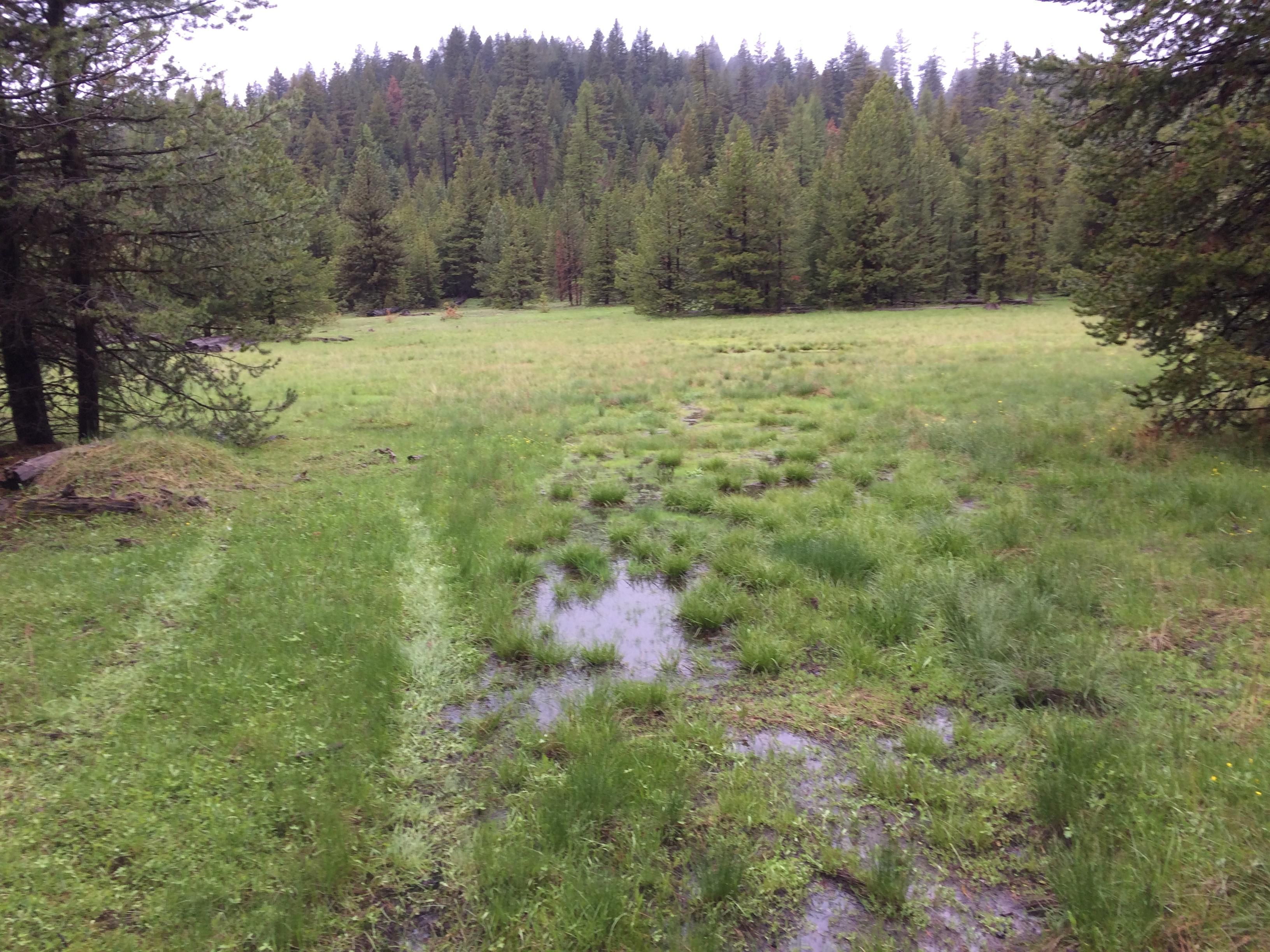 171 acres in Grant County, Oregon