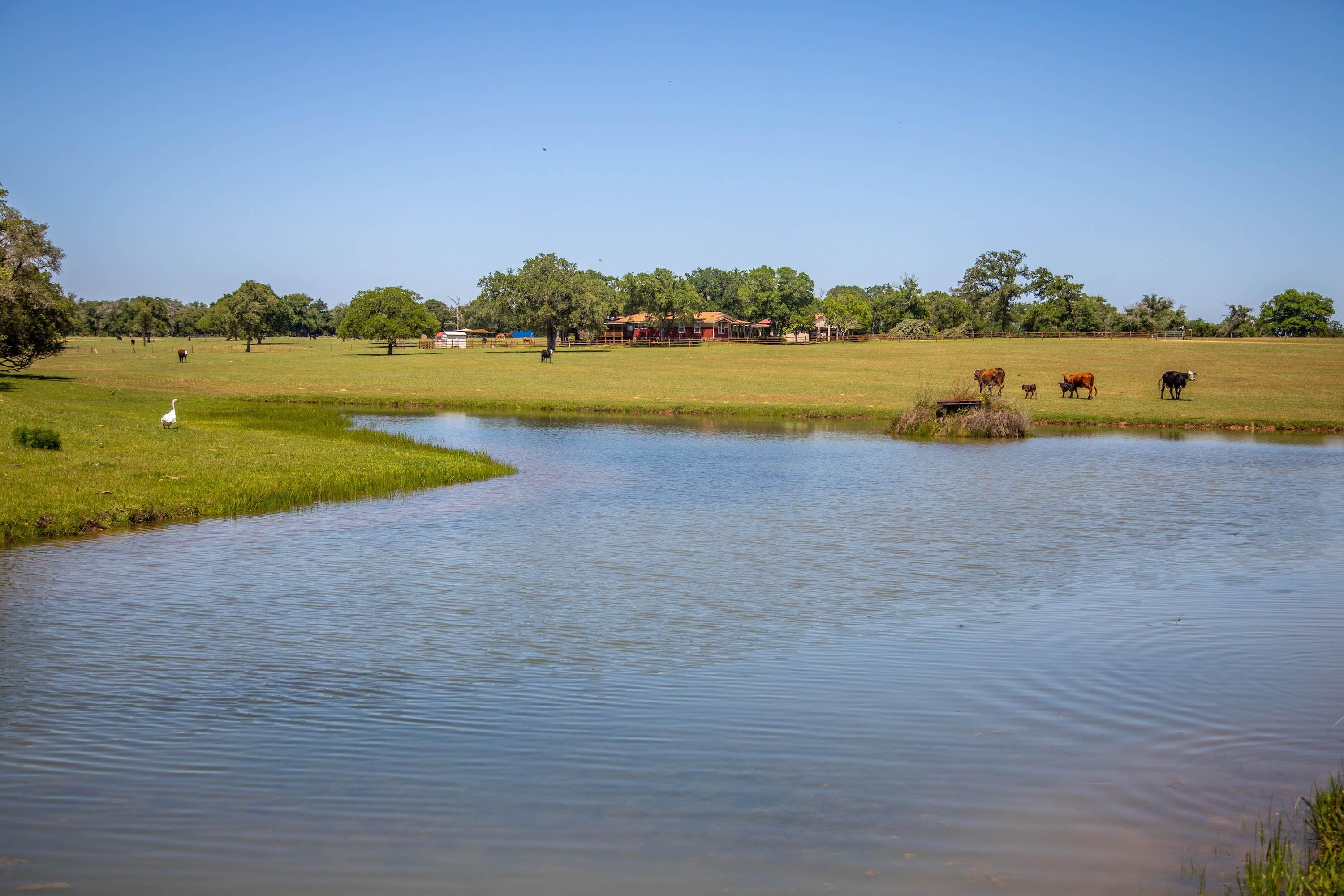 171.2 acres in Stockdale, TX, 78160