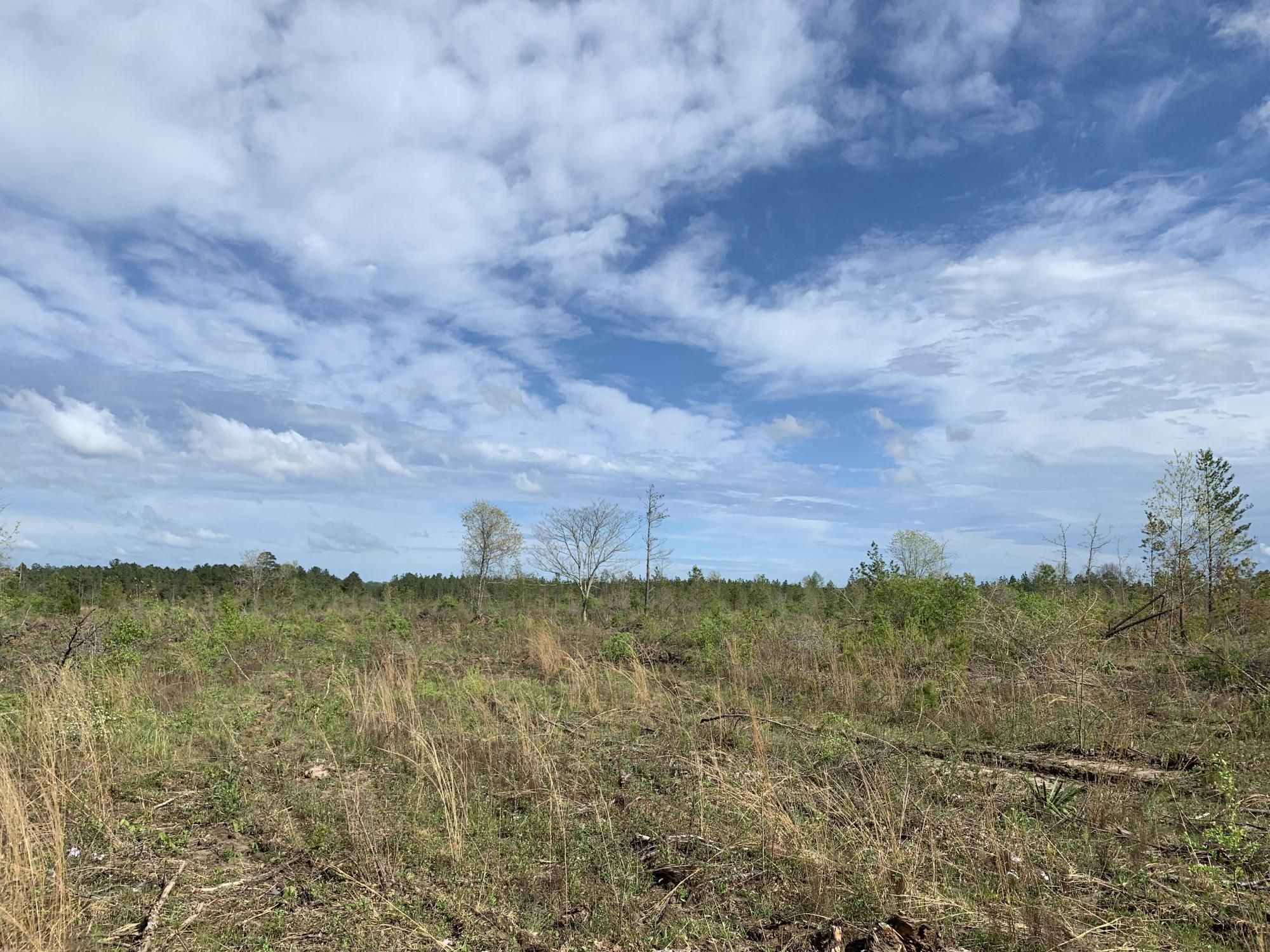 75 acres in Autauga County, Alabama