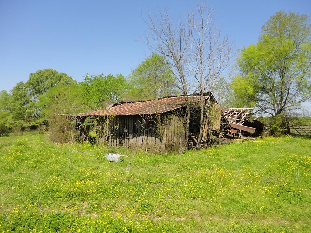 10 acres in Scott County, Mississippi