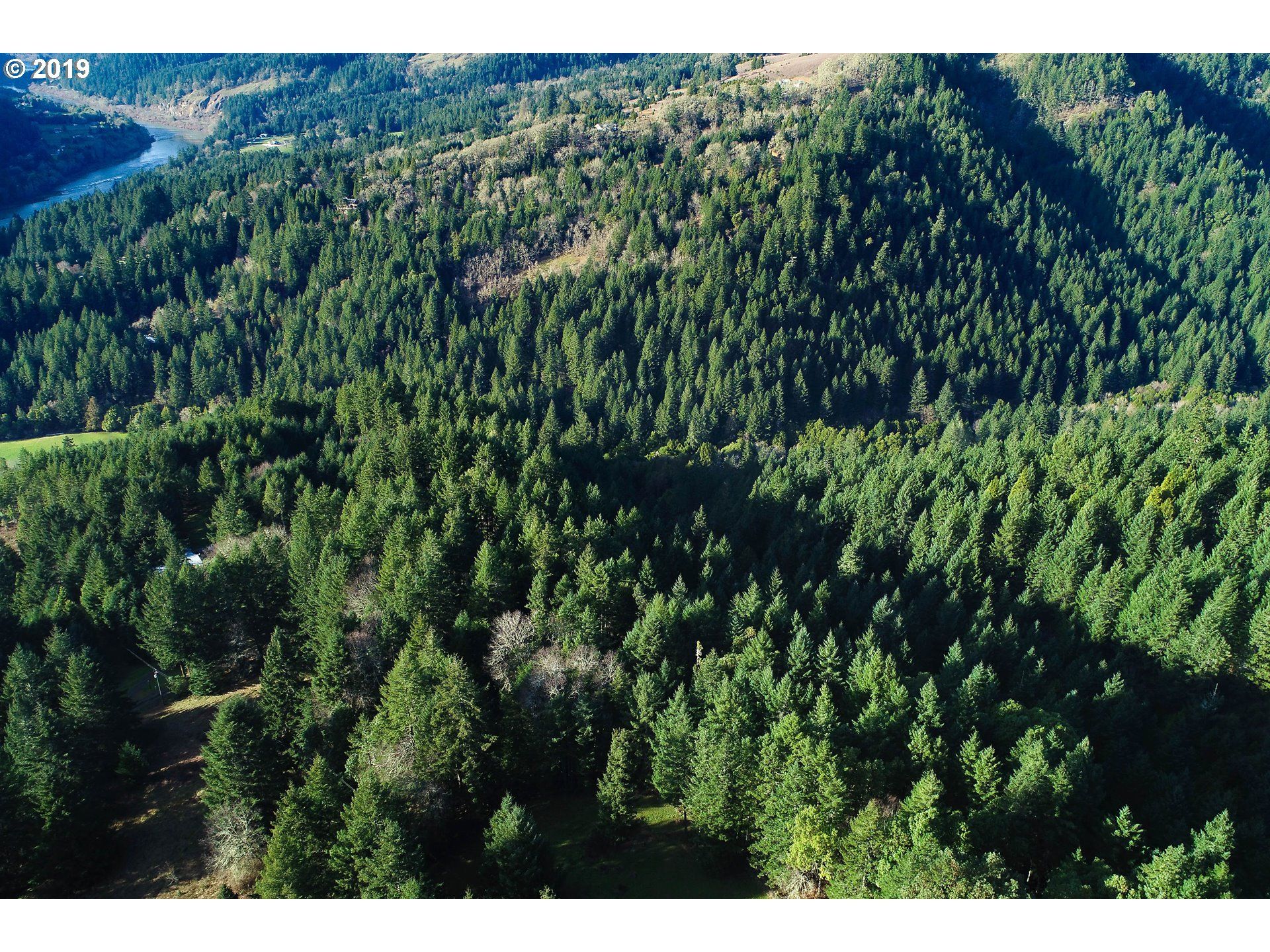 10.78 acres in Douglas County, Oregon