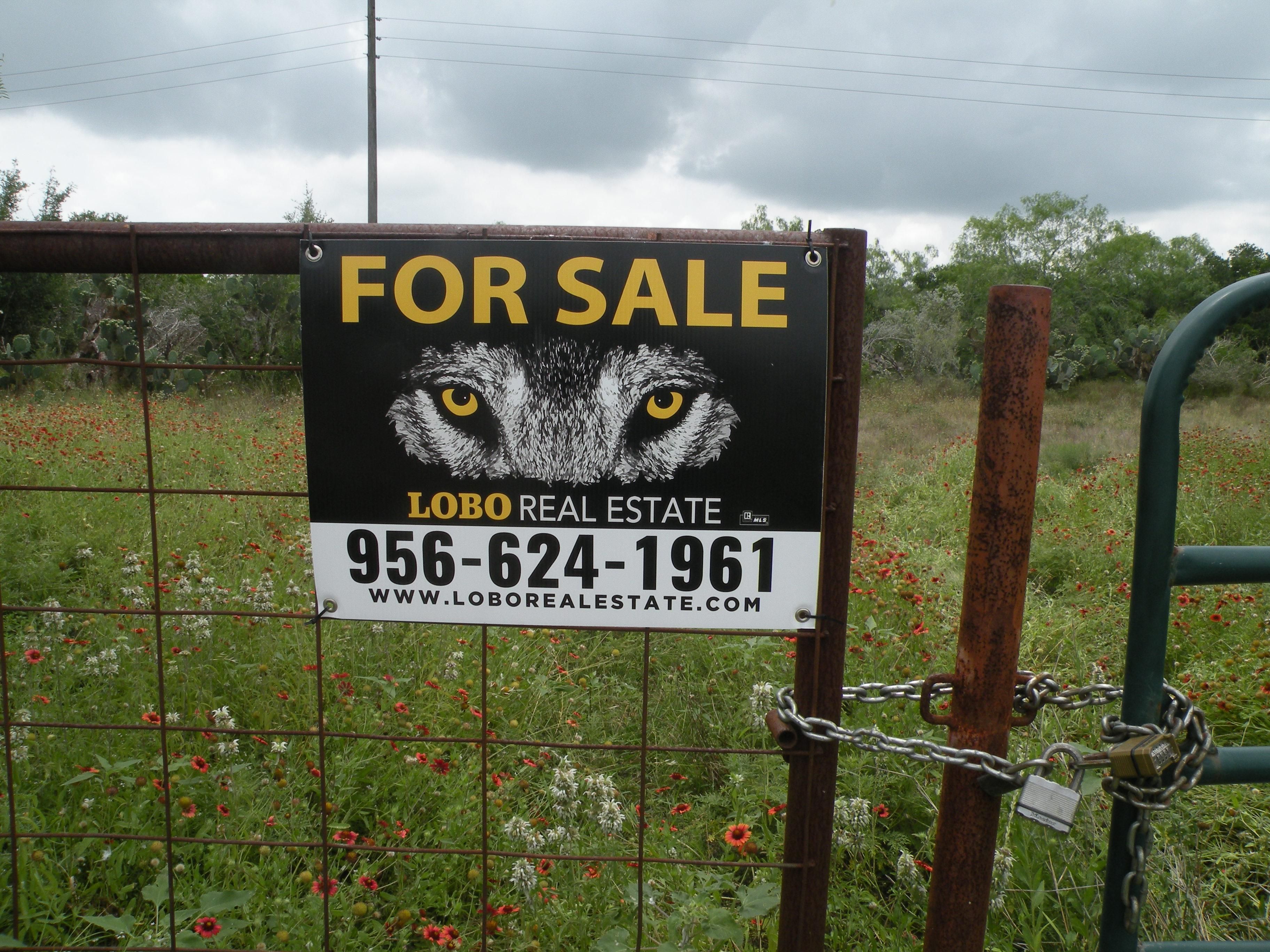 133 acres in Duval County, Texas