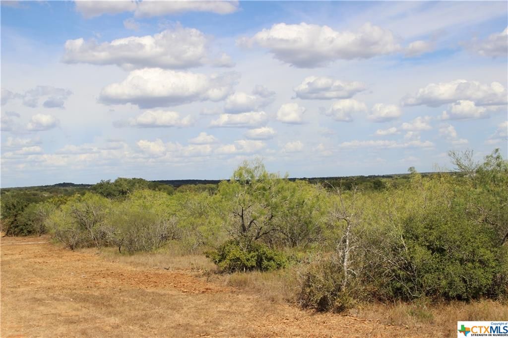 30 acres in Guadalupe County, Texas
