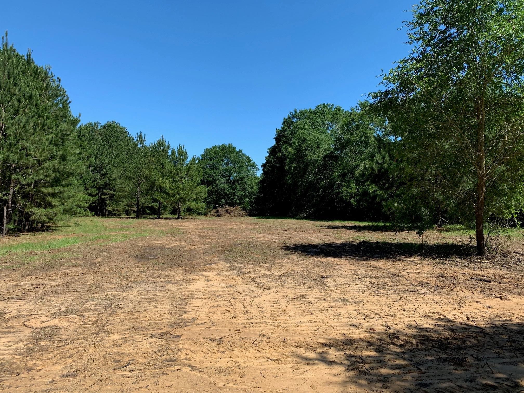 11 acres in Leon County, Texas