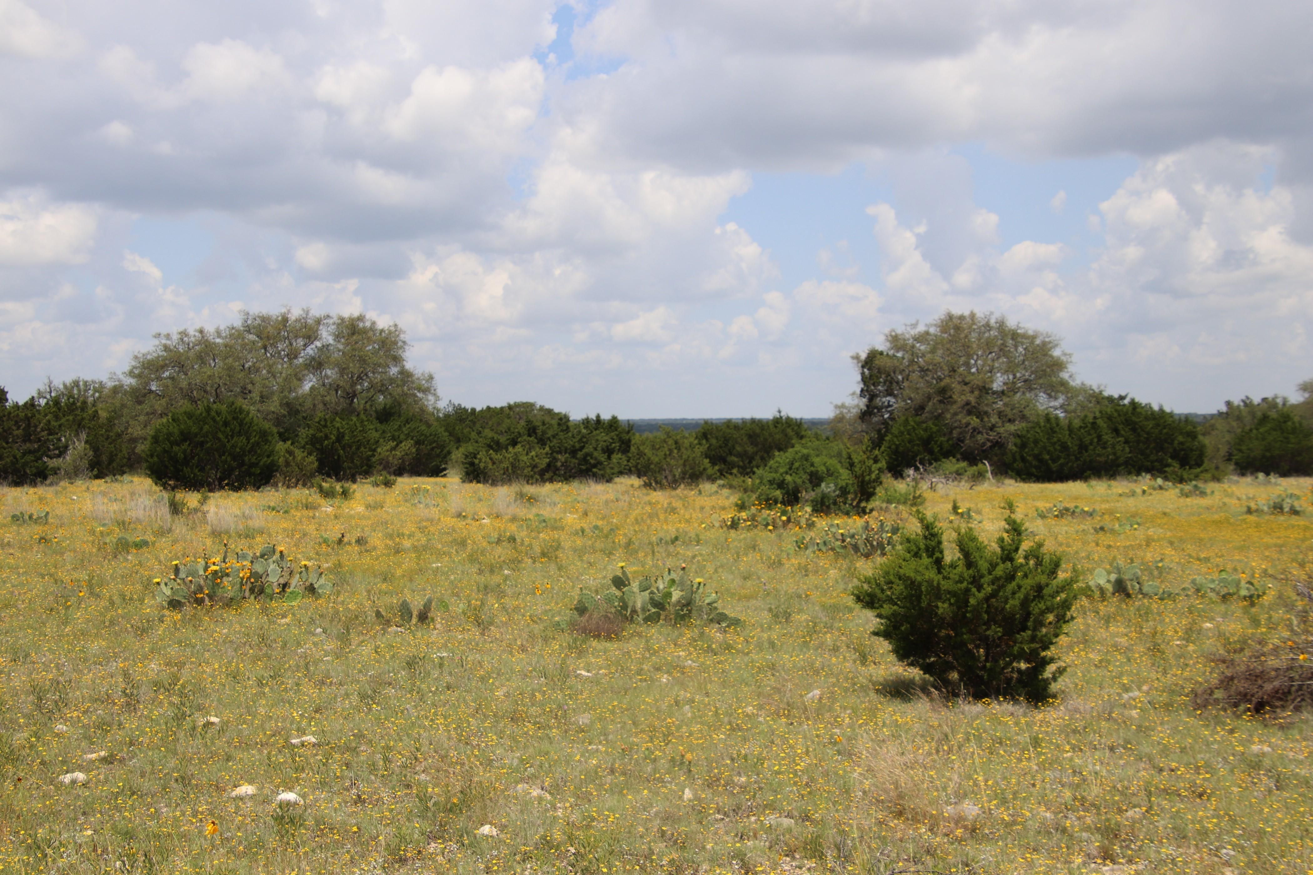 28.75 acres in Edwards County, Texas