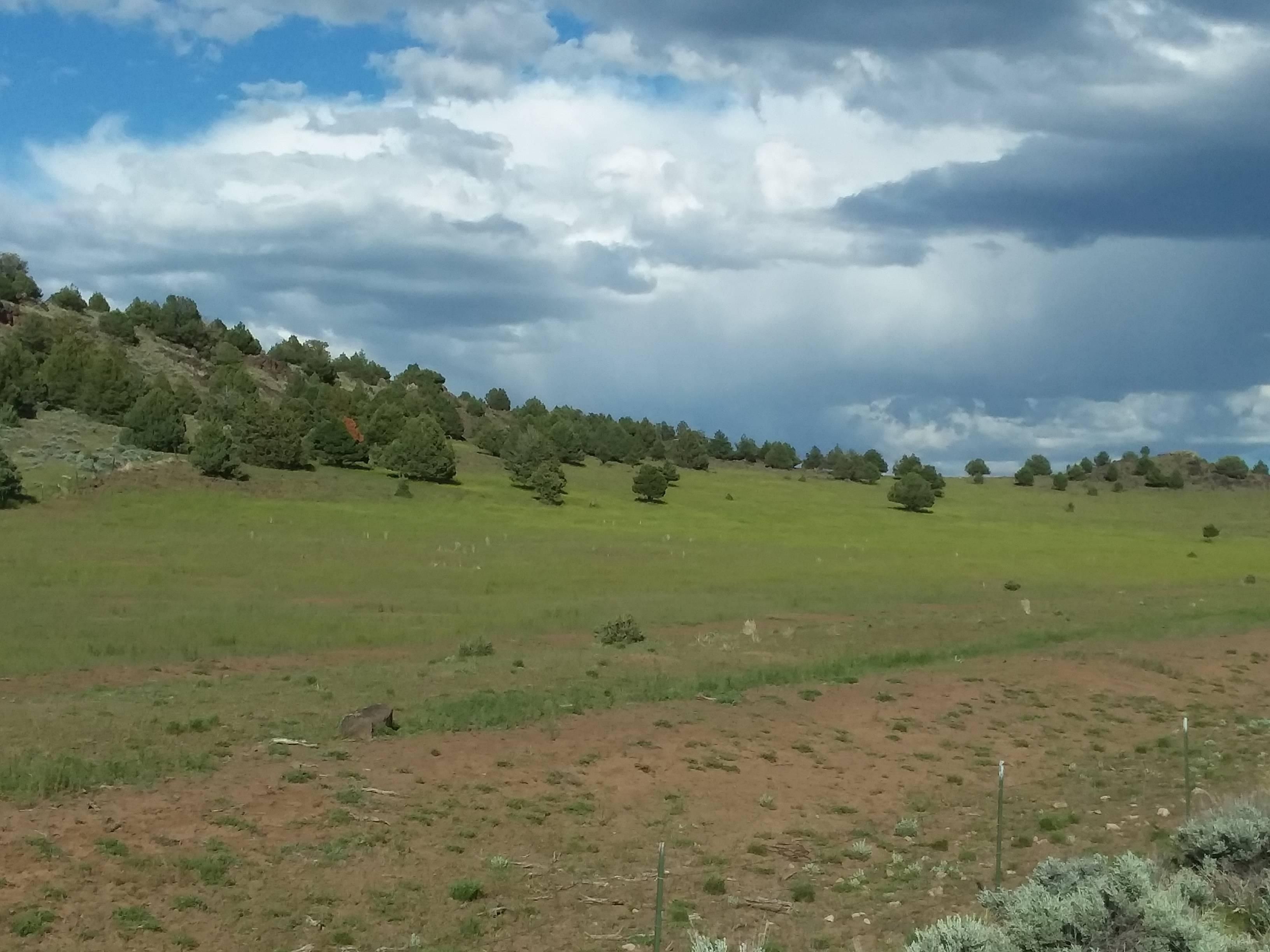 528125 Mitchell Road, Ravendale, CA 96132