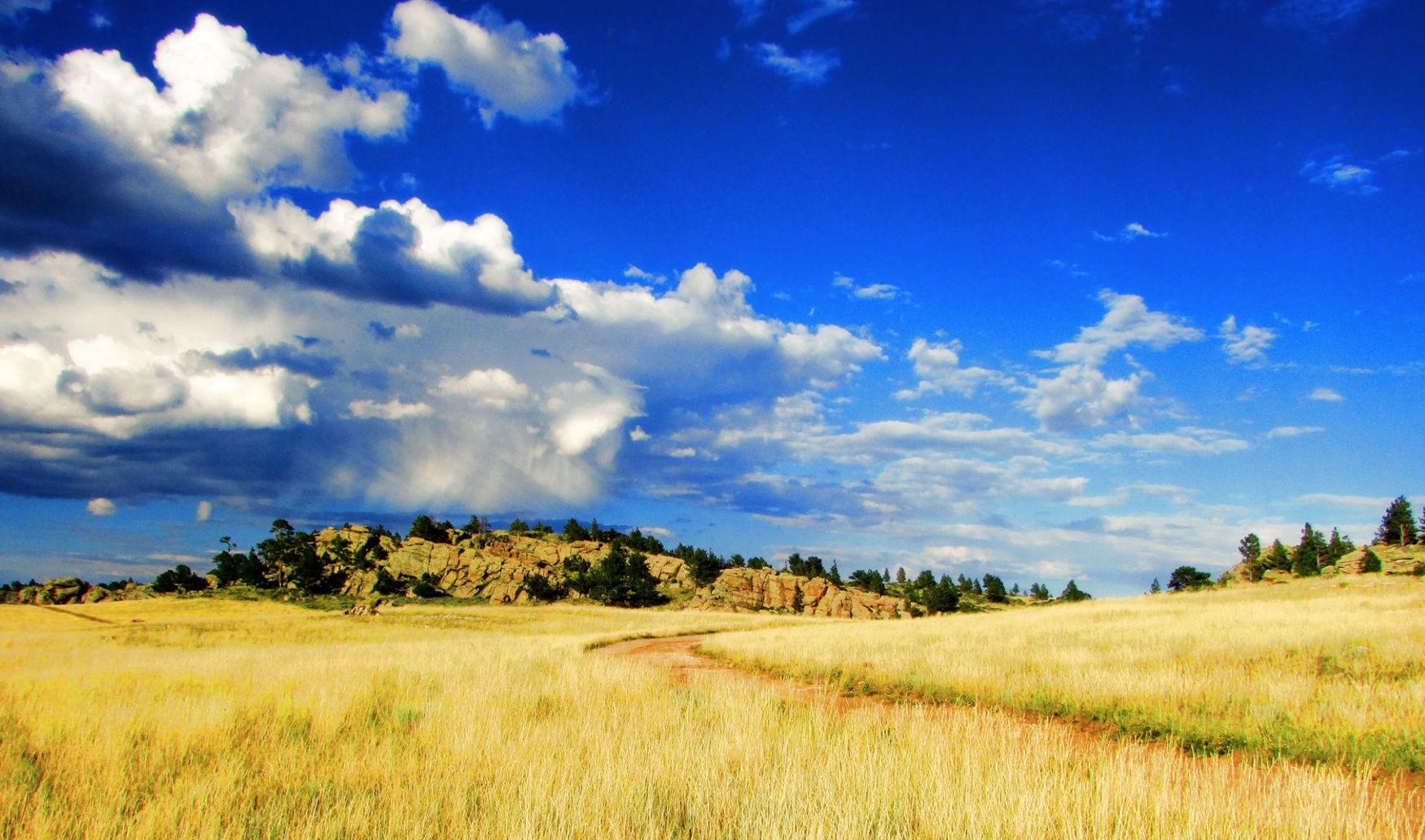 40 acres in Albany County, Wyoming