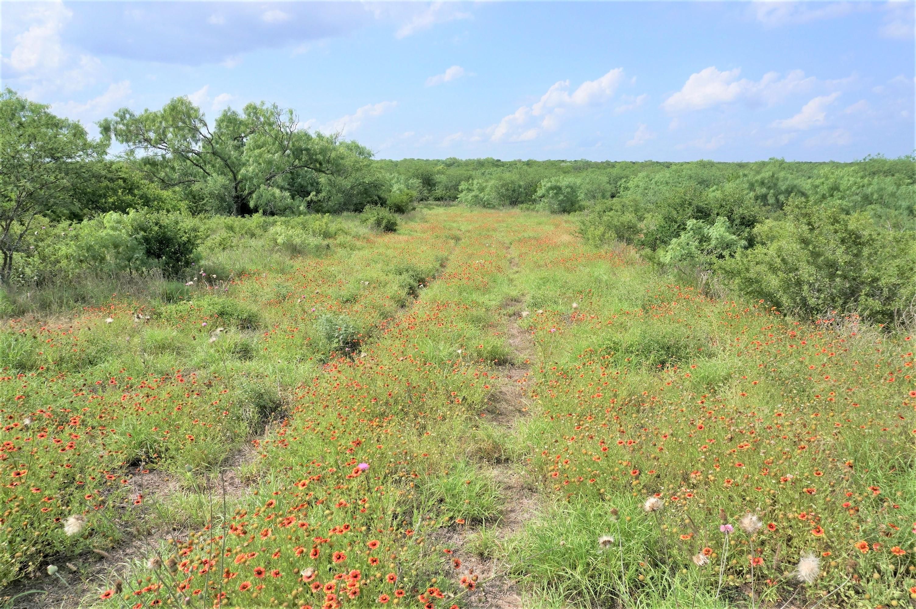 W FM 624, West, TX 78022