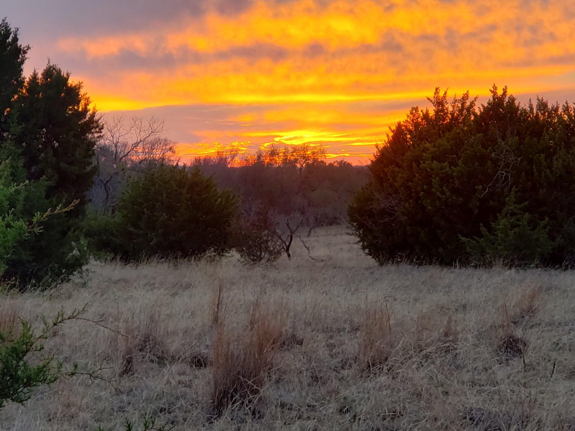 240 acres in Hamilton County, Texas