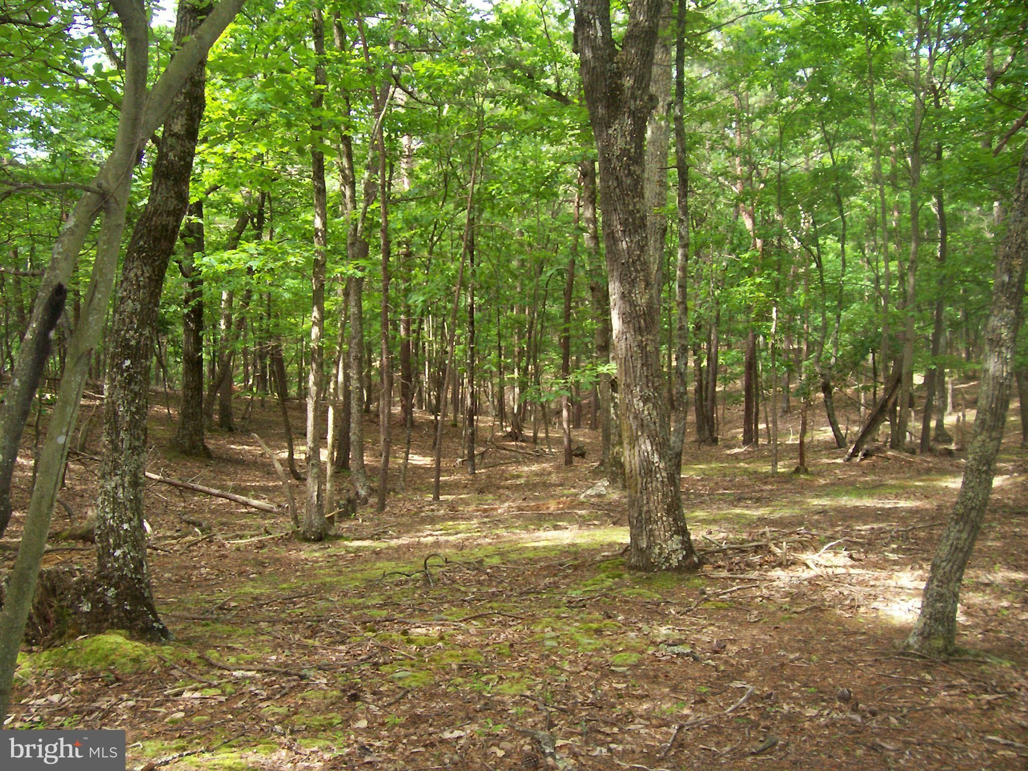 10.73 acres in Grant County, West Virginia