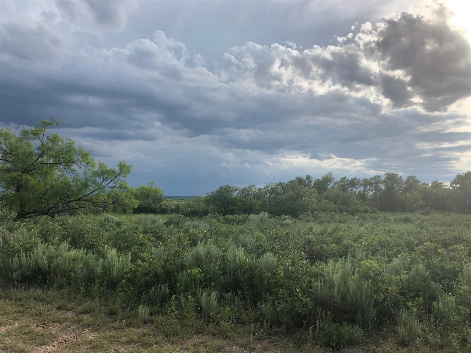 1,854 acres in Dickens County, Texas
