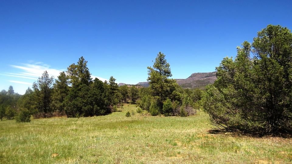 35 acres in Las Animas County, Colorado