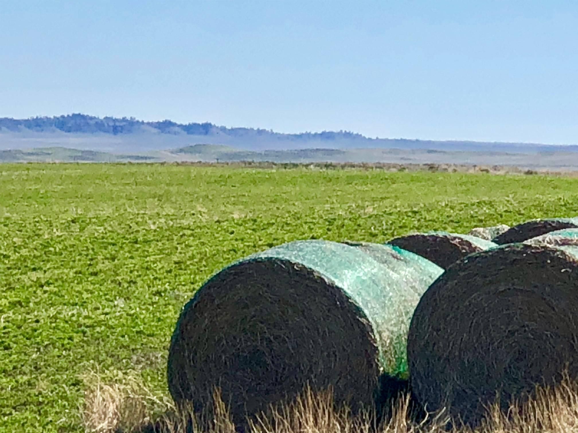 1,056 acres in Golden Valley County, Montana