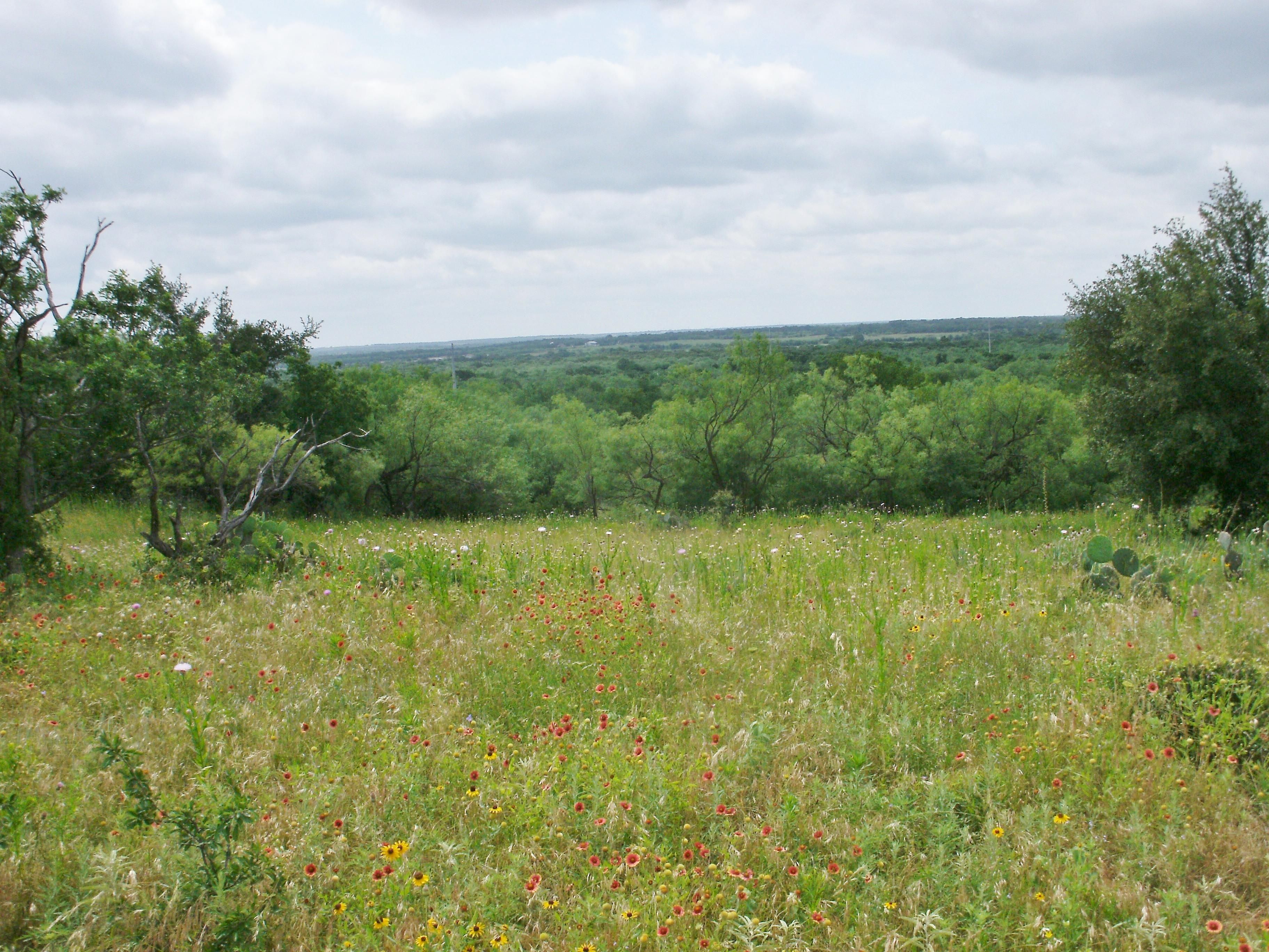 98 acres in Wise County, Texas
