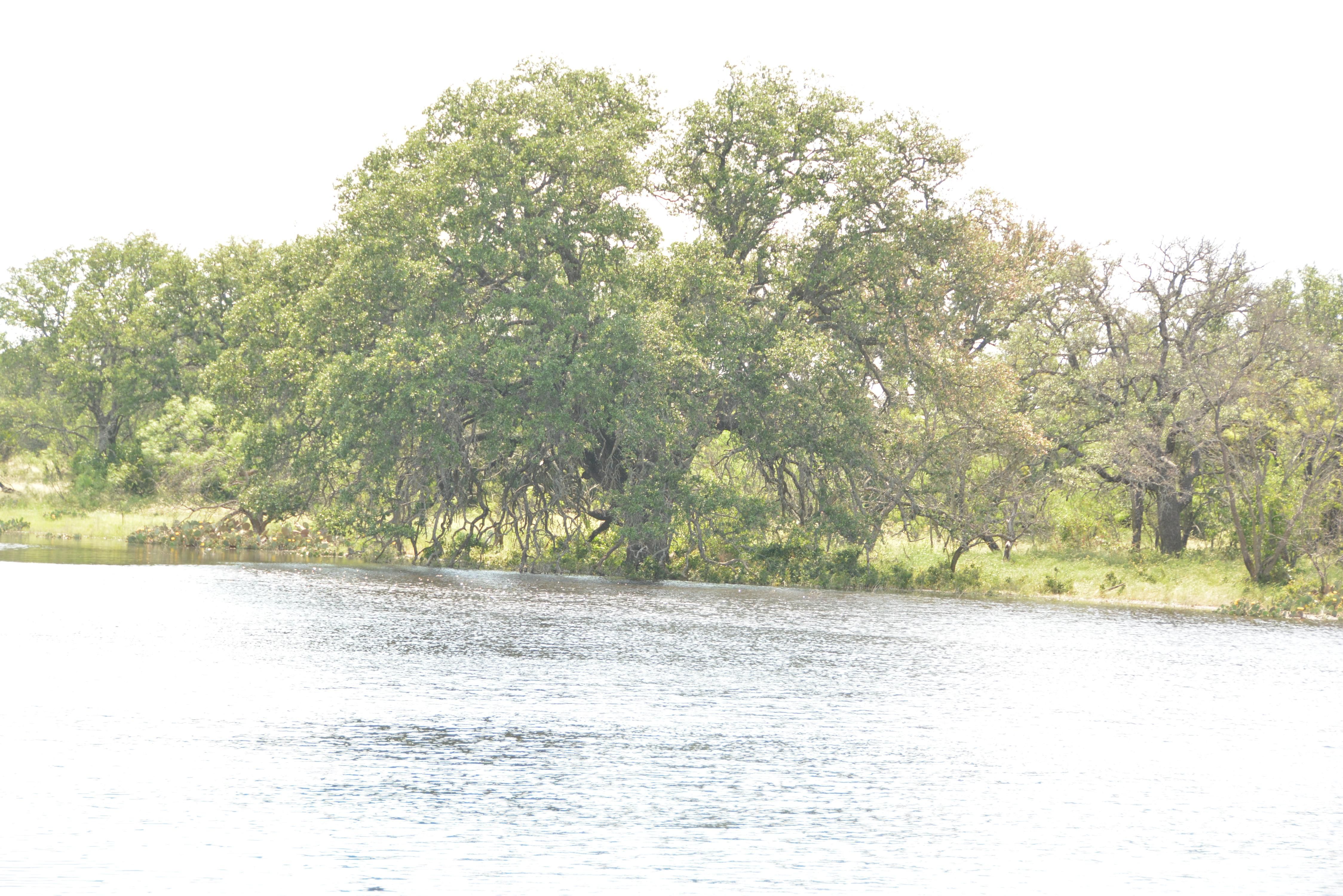 1,790 acres in Concho County, Texas