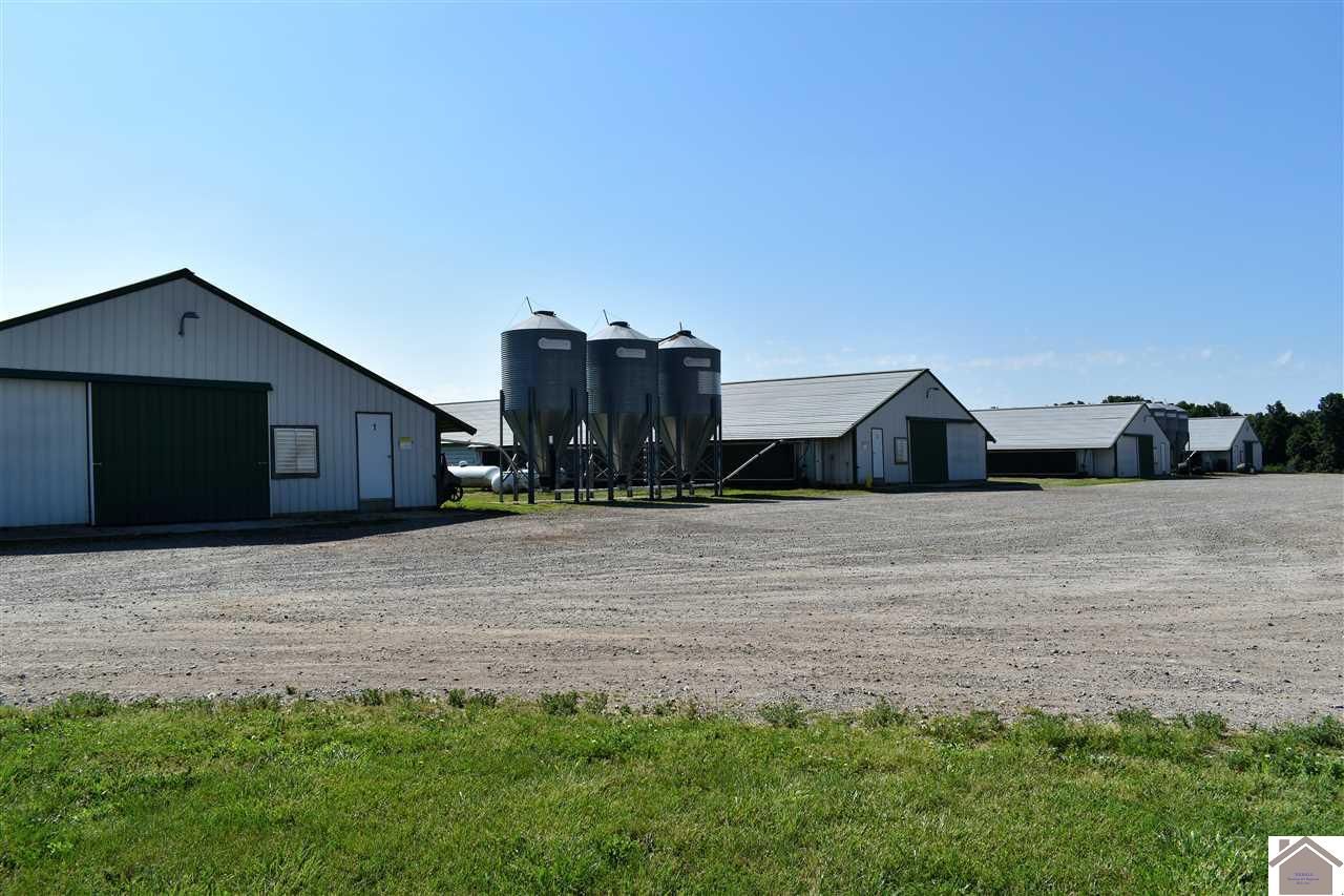 20 acres in Graves County, Kentucky