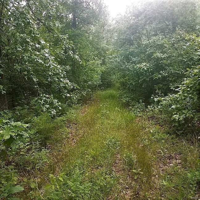 80 acres in Phelps County, Missouri
