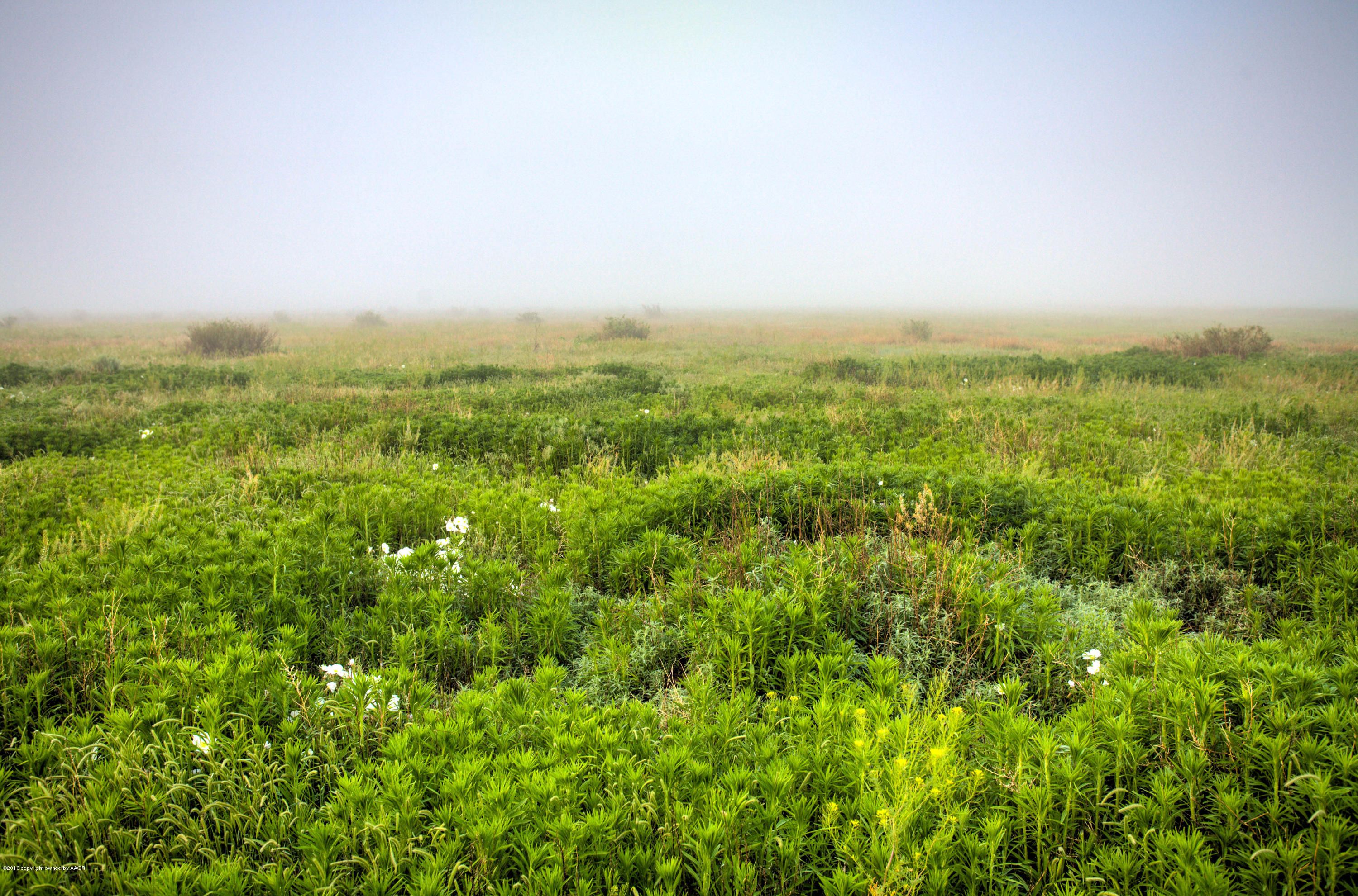 640 acres in Hartley County, Texas