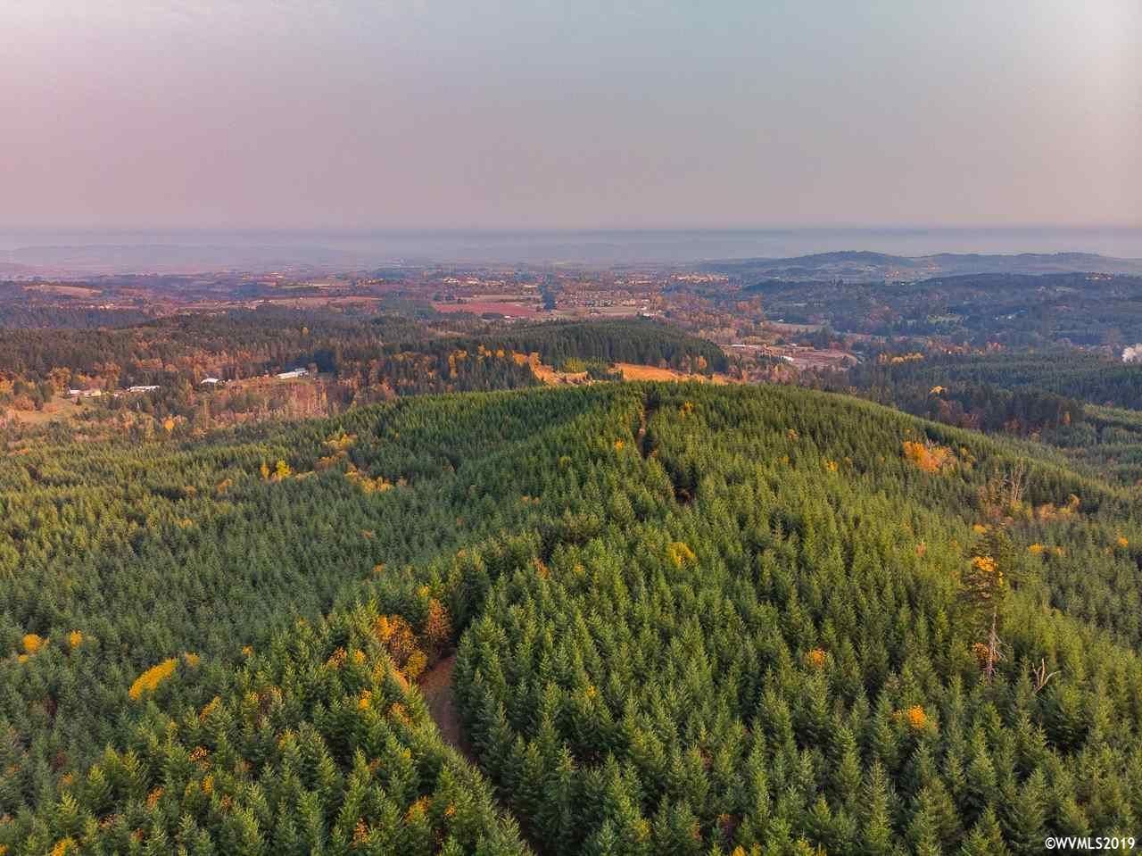 70 acres in Polk County, Oregon