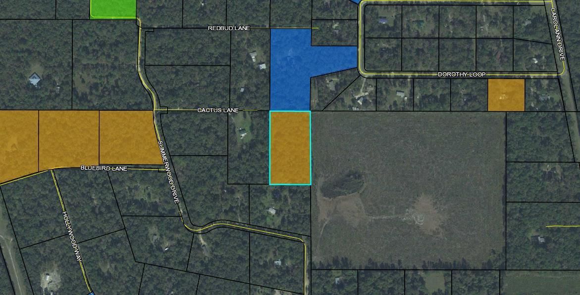5 acres in Wakulla County, Florida