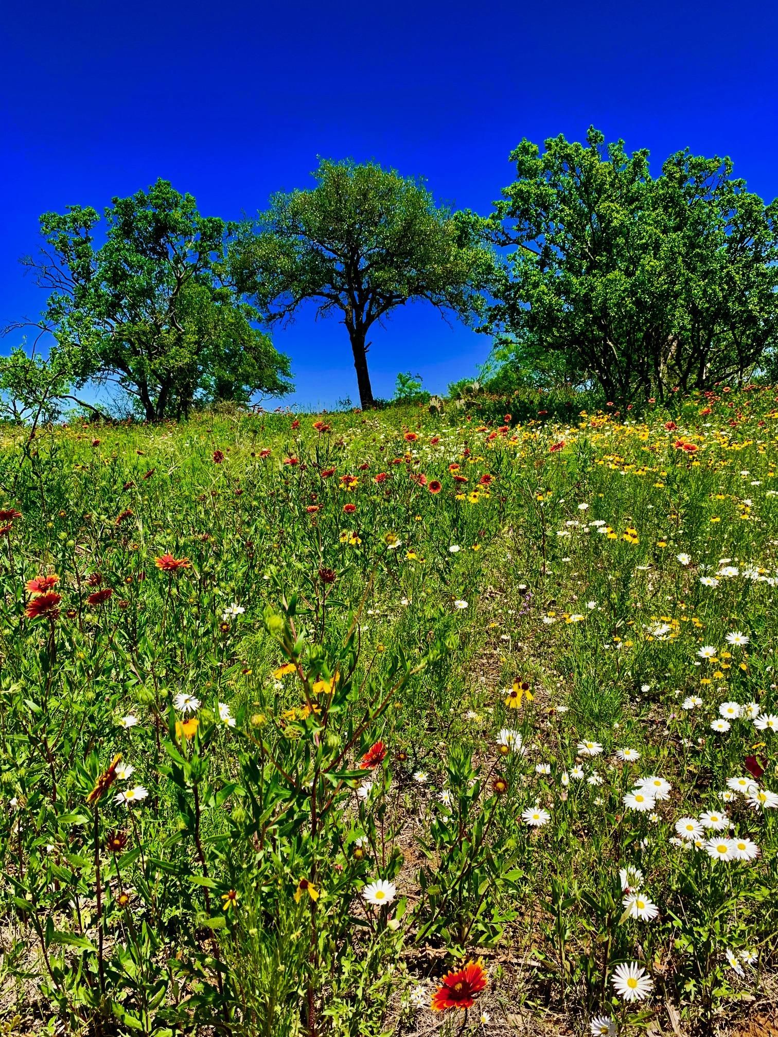 10.57 acres in Llano County, Texas