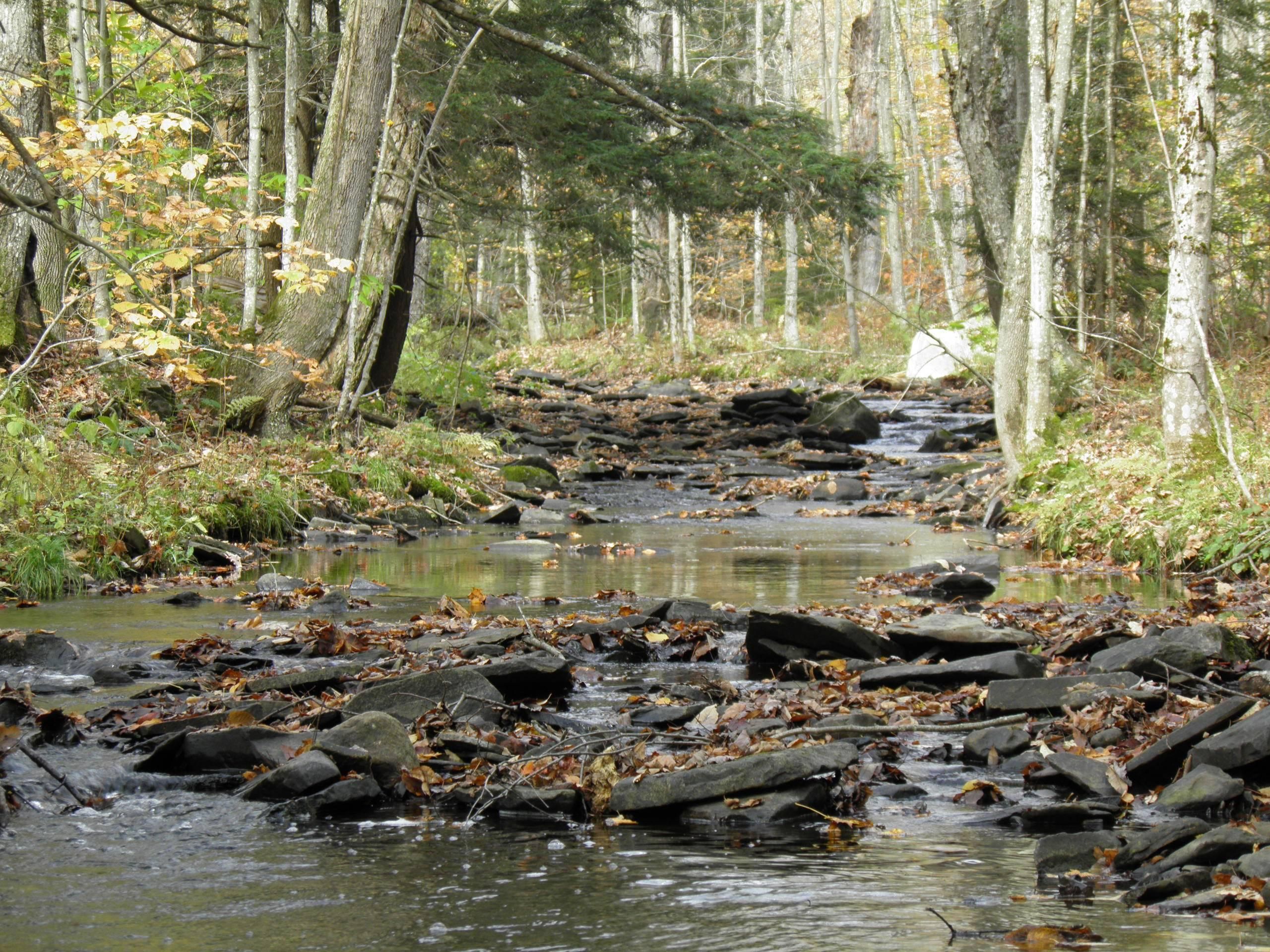 241.2 acres in Oneida County, New York