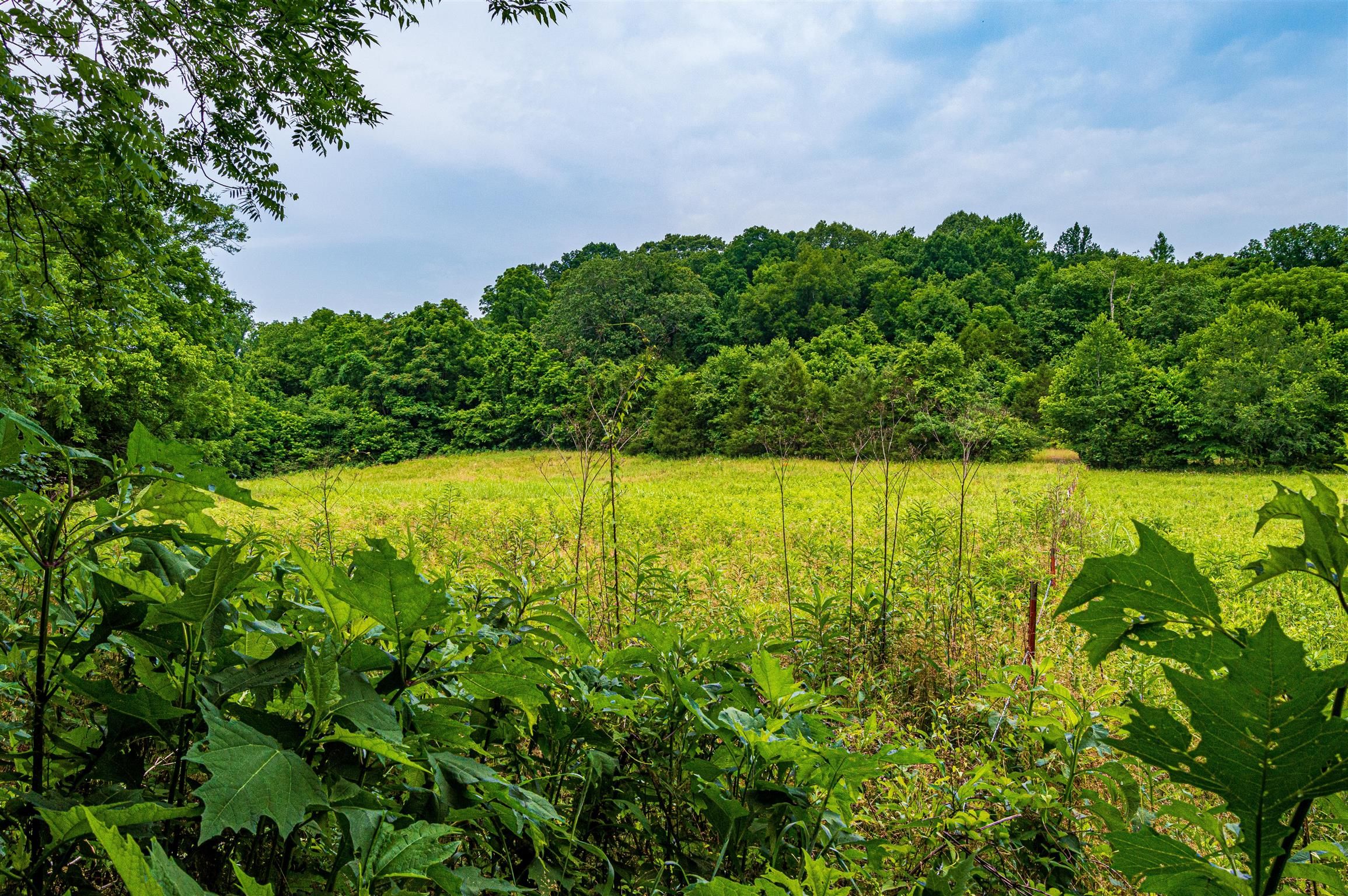 26 acres in Giles County, Tennessee