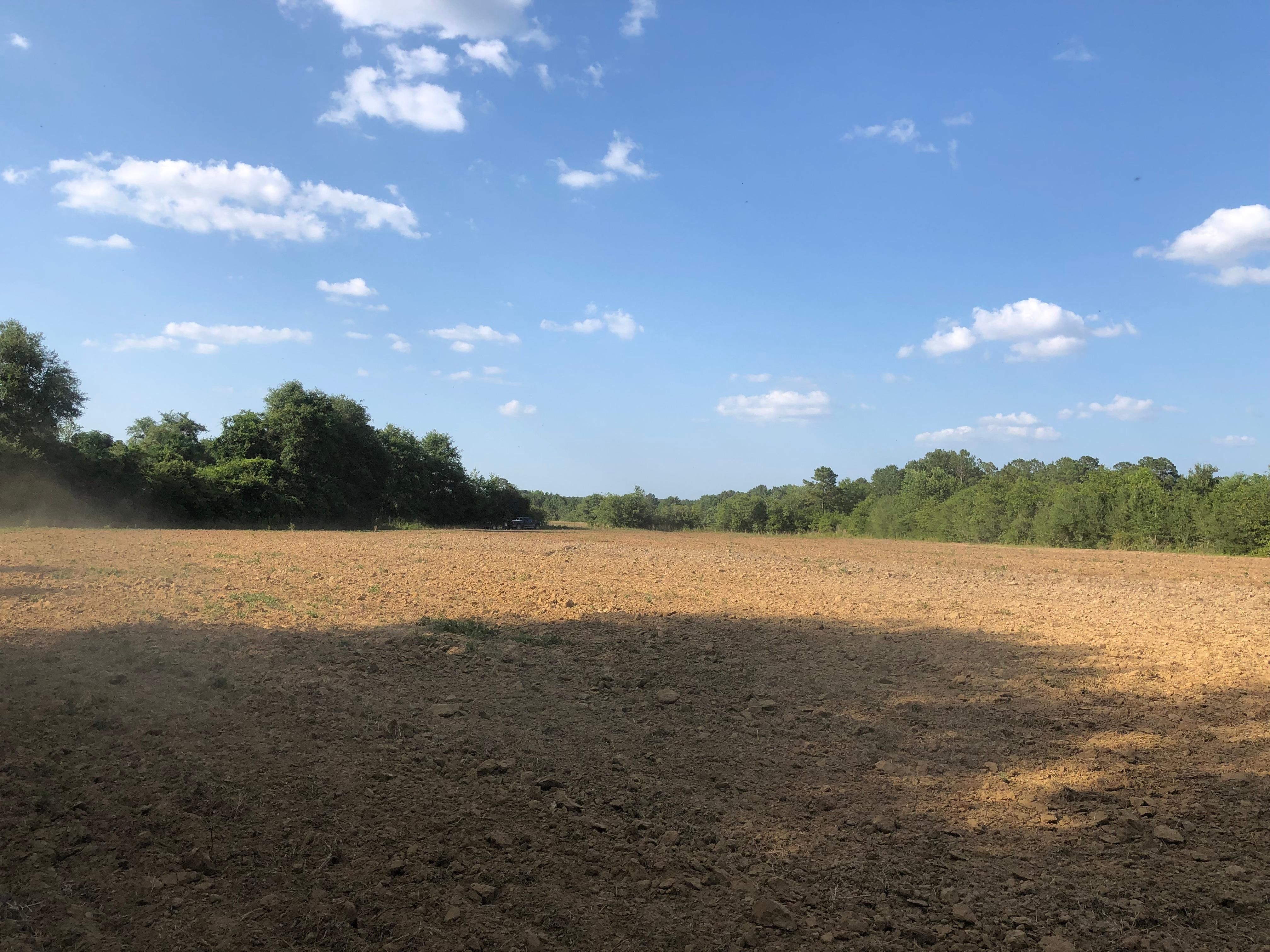 78 acres in Geneva County, Alabama