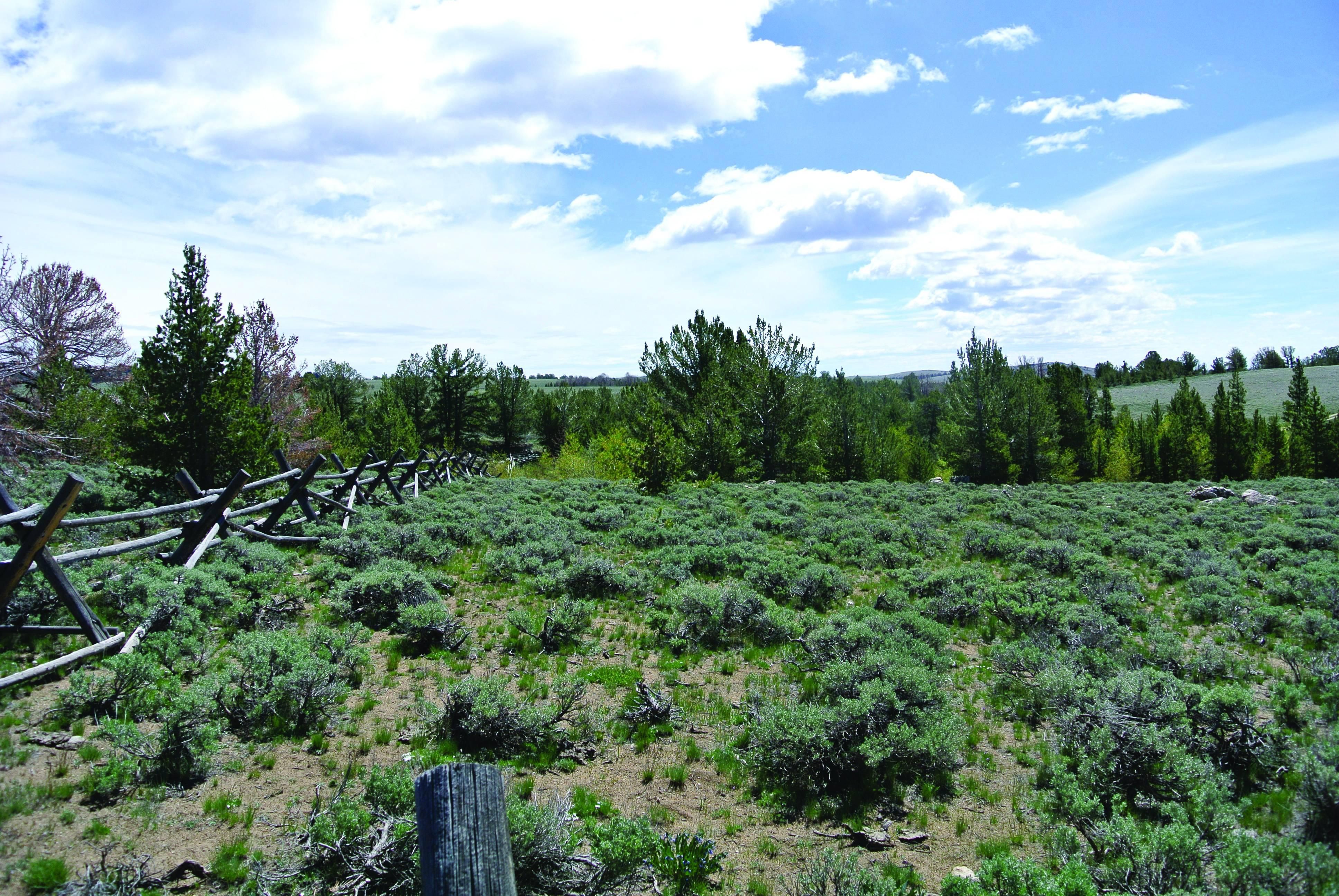 40 acres in Fremont County, Wyoming